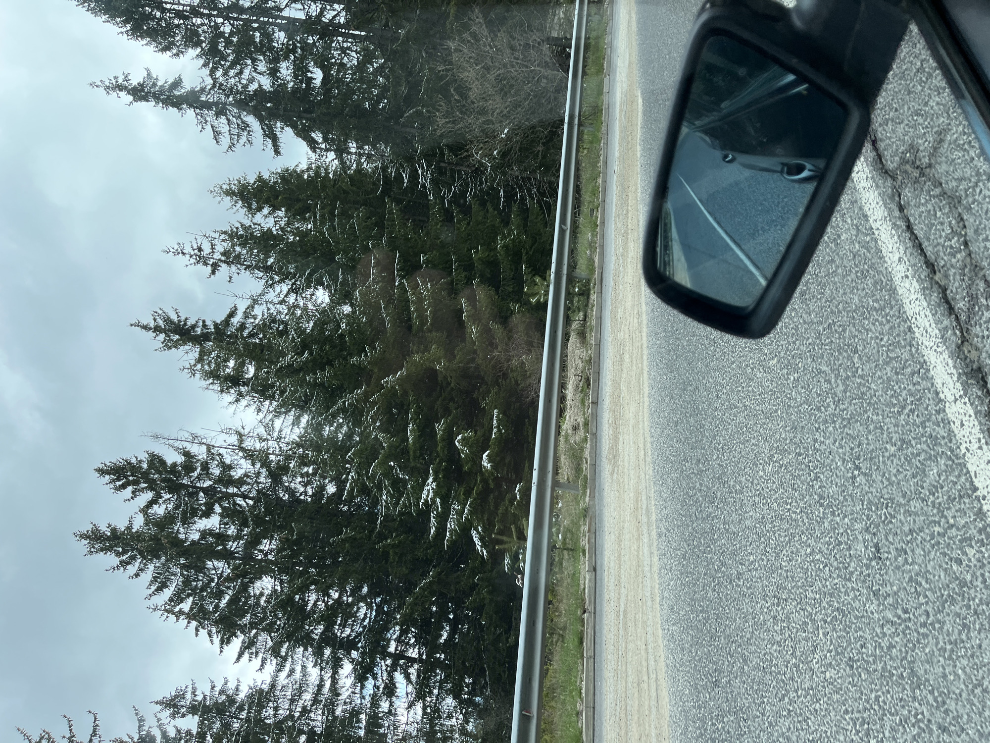 The image presents a view from a car on a road near Sokolovtsi, Bulgaria. The car's side mirror is visible in the upper right corner, reflecting the road behind. The road has a white lane marker. A guardrail runs along the roadside, separating the road from a dense forest of evergreen trees to the left. The sky is overcast.