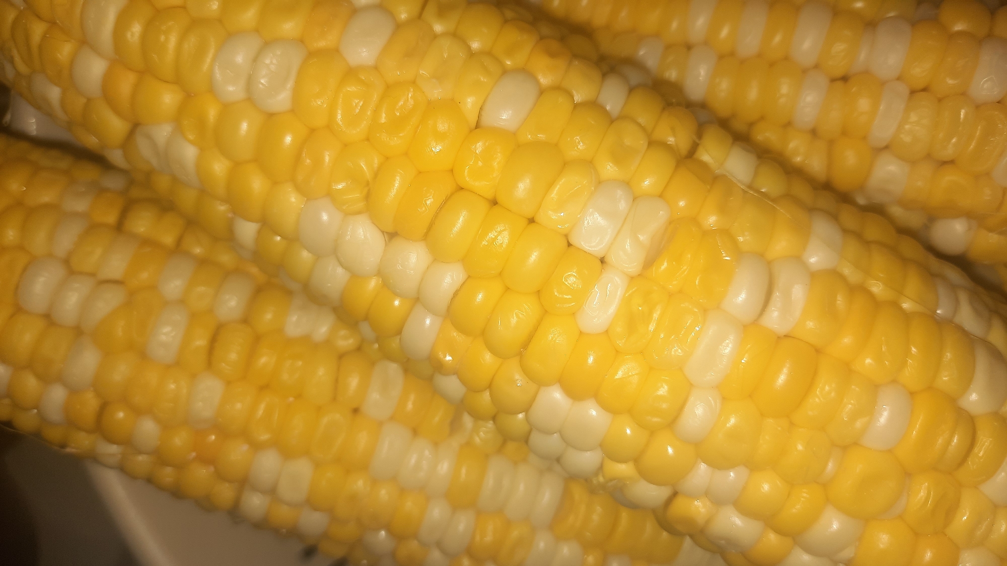 The image is a close-up, overhead shot of three ears of corn. The corn is a bicolor variety, with alternating kernels of bright yellow and creamy white. The kernels are plump and appear to be freshly cooked, with a slightly glossy sheen. The corn is arranged diagonally in the frame, with the top ear slightly out of focus and the bottom two ears sharper. The background is dark and indistinct, suggesting the corn is in a bowl or on a dark surface. There are no people or discernible environmental elements that would allow for location identification within the city of Shkloŭ, Belarus.