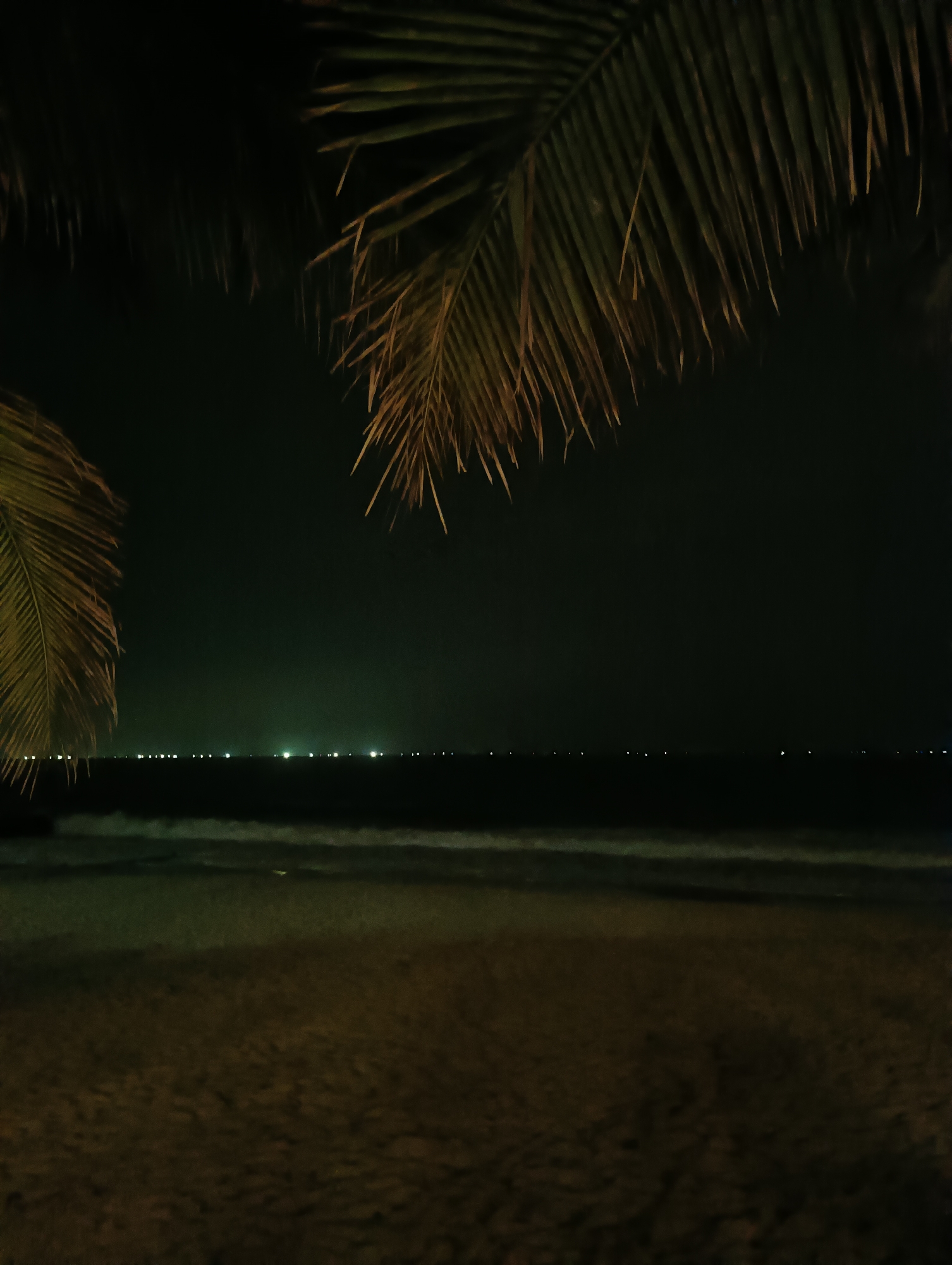 A nighttime view of the beach and ocean in Mui Ne, Vietnam, is captured from behind palm fronds. The sand in the foreground is dark and grainy, with subtle variations in texture. The ocean is a dark expanse with gentle waves breaking on the shore, creating a slightly lighter, foamy line. In the distance, a faint line of lights stretches across the horizon, suggesting the presence of buildings or boats. The sky is a deep, dark green, hinting at the presence of lights from the town reflecting off atmospheric moisture. The palm fronds in the upper portion of the image are dark silhouettes against the night sky, with some of their fibrous textures visible. The overall atmosphere is calm and tranquil.