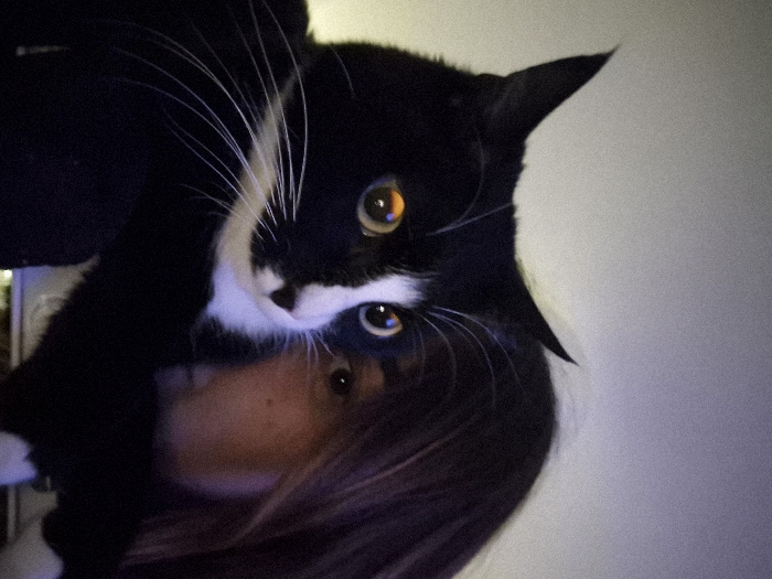 A black and white cat with amber eyes is perched on the shoulder of a person. The cat's face is prominent, with long white whiskers. The person's hair is dark, and their face is partially obscured by the cat. The background is a plain white or light-colored wall, slightly out of focus. The image is tilted, giving it a disorienting perspective.