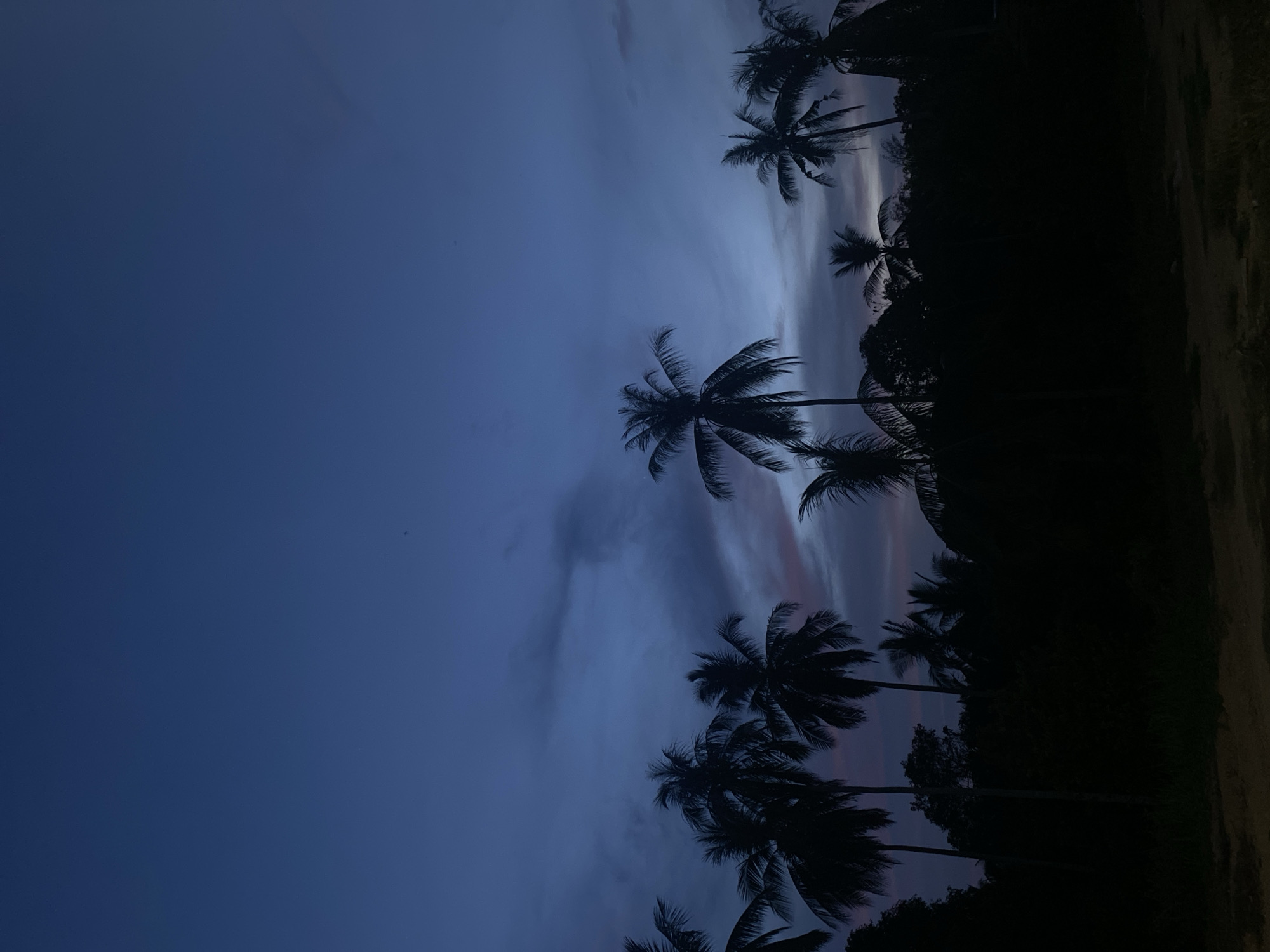The image depicts a dusk or dawn scene in Tanjongkapai, Indonesia. Silhouetted palm trees are visible against a sky that transitions from a deep blue to lighter hues with hints of pink and grey. The right side of the image shows a dark, indistinct land mass. No people or specific activities are apparent.