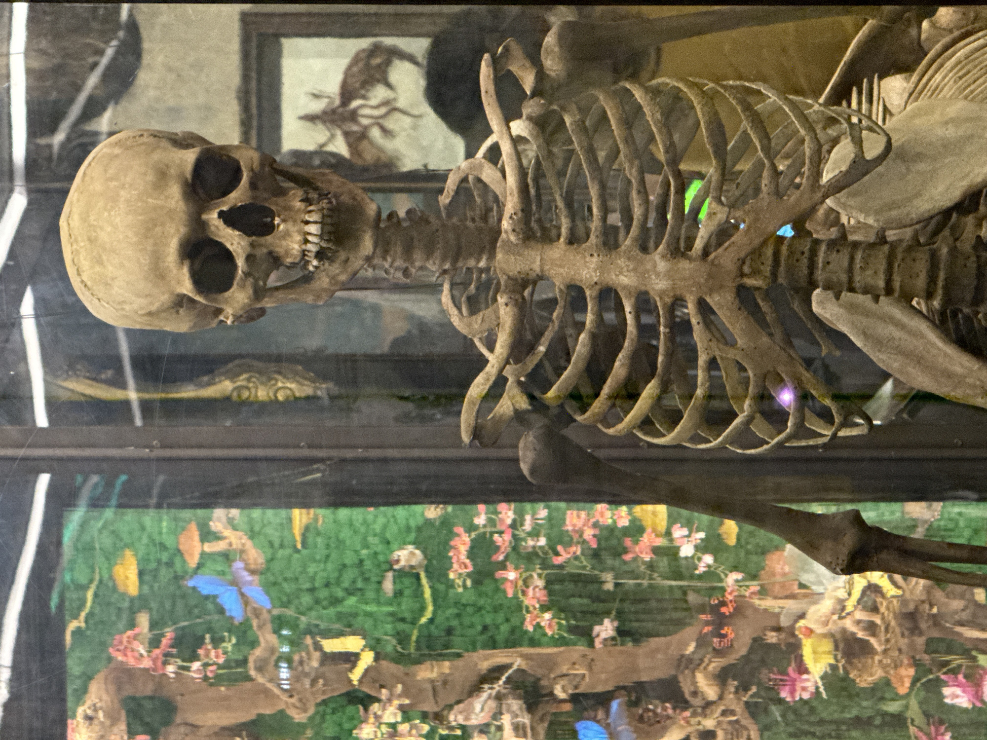 The image depicts a human skeleton encased within a display case. The skeleton's skull is prominently visible, along with the rib cage, spine, and parts of the limbs. Behind the skeleton, the display case contains a diorama with a green background, artificial flowers, butterflies, and branches, suggesting a natural setting. There are reflections on the glass of the display case. The specific location within Moscow is not discernible from the image.