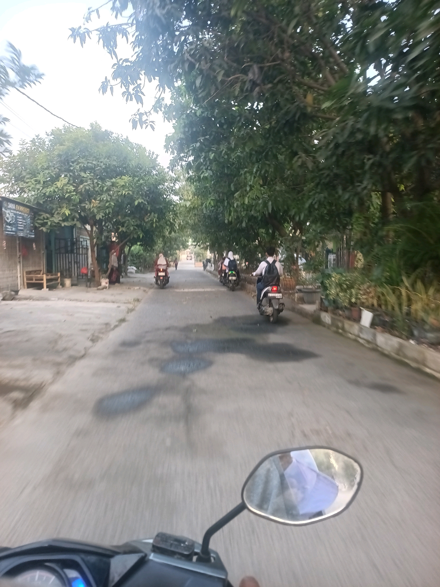 The image depicts a street scene in Wanasari, Indonesia, likely taken from a moving motorcycle. The road is paved and shows signs of wear with some darker patches that could be water stains or oil slicks. Lush green trees line both sides of the street, providing shade and a natural canopy.
In the foreground, the handlebars and a portion of the motorcycle's dashboard are visible, indicating the perspective of the viewer. A rearview mirror reflects the sky and the rider's headwear, which appears to be a light-colored cap or helmet.
Further down the road, several people are seen riding motorcycles. One motorcycle is occupied by a person wearing a white shirt and a dark backpack, also wearing a backpack. Another motorcycle is ridden by a person wearing a headscarf. A third motorcycle, closer to the left side of the image, is ridden by a person wearing a headscarf and a red jacket. There are other motorcycles and figures further in the distance, suggesting moderate traffic.
To the left of the road, a building with a sign that partially reads "JASA BU R..." is visible, with a wooden bench and some objects placed outside. The building appears to be a shop or a business. To the right, there are potted plants and a low wall. The overall impression is of a residential or commercial street in a tropical climate, with active local transportation.