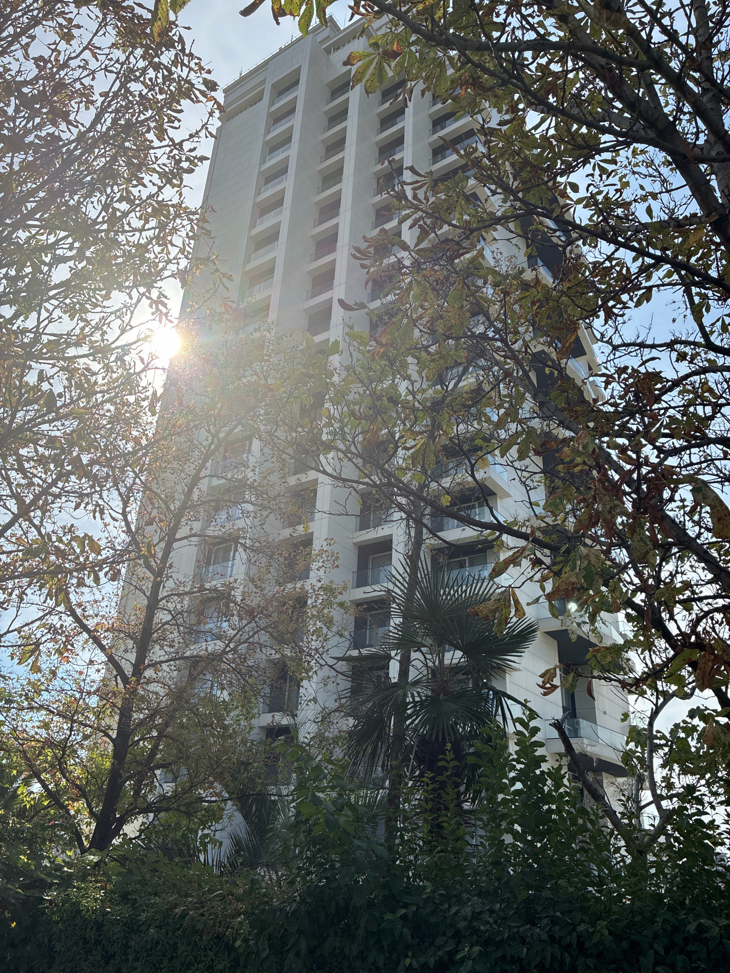 The image shows a tall, modern apartment building in Sochi, Russia. The building is white with many windows and balconies. It is partially obscured by trees with leaves that are turning color, suggesting it is autumn. The sun is shining brightly, creating lens flare. In the foreground, there are dense green bushes and a palm tree. The overall scene depicts an urban environment with natural elements.