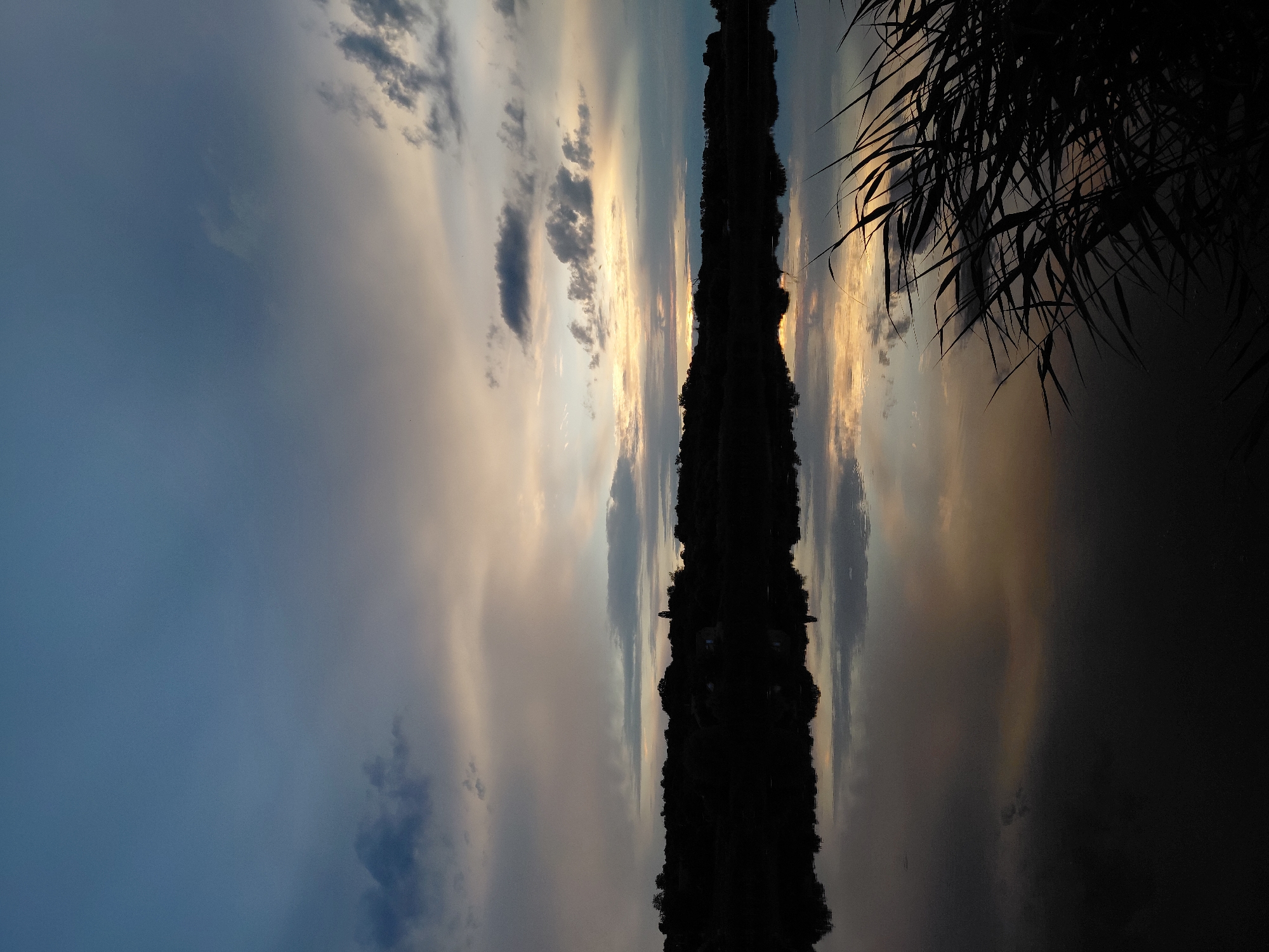 This is a vertically oriented, nighttime or dusk photograph of a serene landscape. The image is dominated by a dark silhouette of trees and possibly buildings that form a distinct horizontal line across the frame. This dark mass is reflected in the still water below, creating a mirror image that blurs the distinction between the sky and the land.
The sky above the silhouette is a blend of blues and grays, with streaks of warm, golden light suggesting the last rays of a setting sun or the emerging light of dawn. Clouds are scattered across the sky, some dark and heavy, others wispy and translucent, catching the light in various ways. The reflection in the water mirrors these sky colors, albeit in a darker, more muted tone.
In the foreground, on the right side of the image, the dark, spiky silhouettes of tall grass or reeds are visible, framing the scene and adding a sense of depth. These reeds are silhouetted against the lighter sky and water reflection.
The overall mood of the image is peaceful and tranquil, with a hint of mystery due to the low light conditions and the obscured details of the landmass. The reflection adds a surreal quality to the scene. There is no visible text in the image.