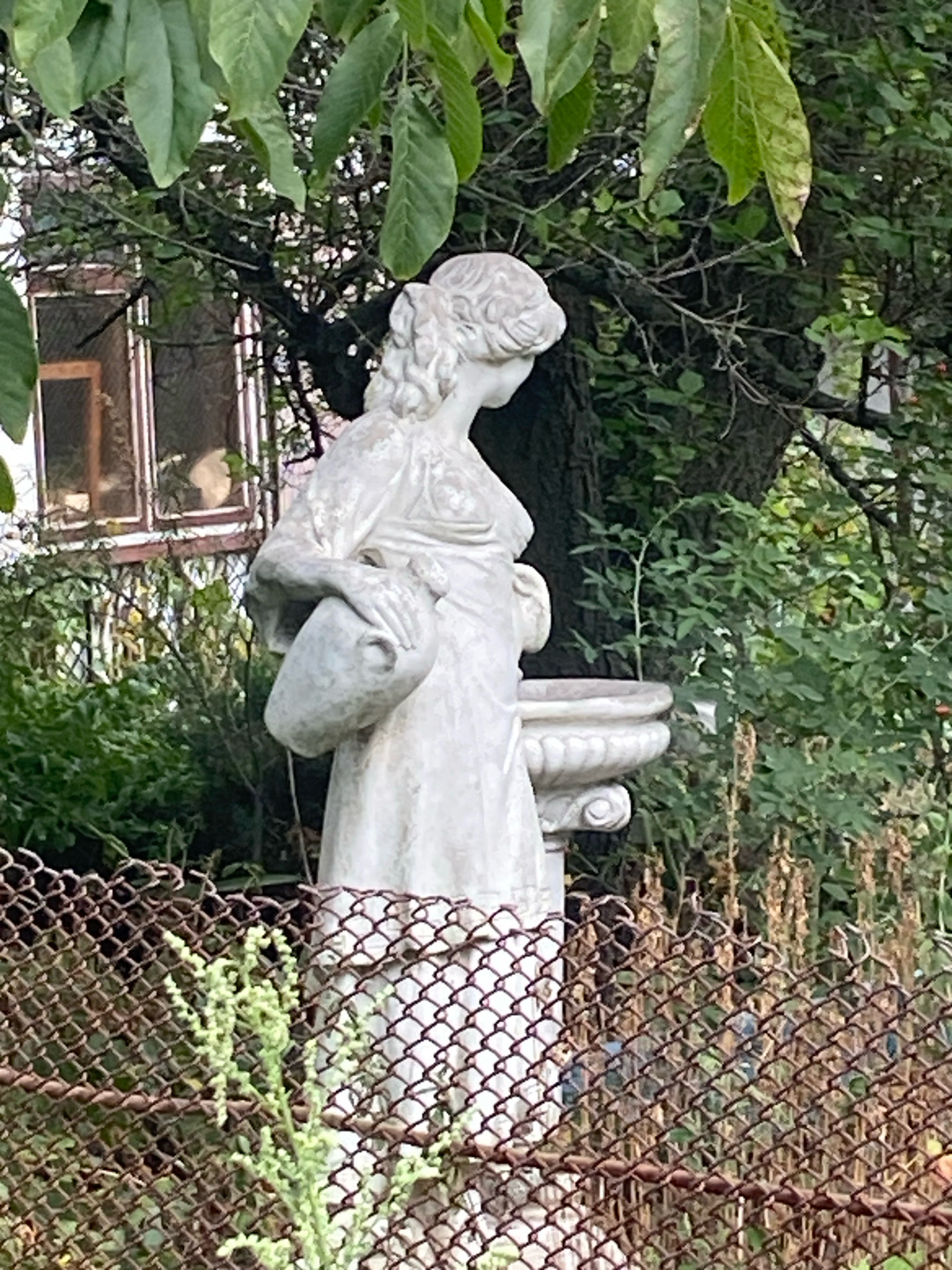 An outdoor, medium-angle, eye-level shot captures a white, classical-style statue of a woman in a garden setting. The statue depicts a woman with her hair pulled back in an updo, wearing a draped dress. She is holding a jug in her left arm and reaching towards a large, ornate stone basin supported by a pedestal with her right hand. The statue is positioned in front of a blurred background of trees and foliage. To the left and slightly behind the statue, a window with wooden framing is visible, suggesting the presence of a building. A rusty chain-link fence with some green vegetation growing through it runs across the foreground of the image, obscuring the lower portion of the statue and the ground. The lighting suggests it is daytime, with soft shadows indicating an overcast sky or dappled light filtering through the trees. The scene appears to be in the city of Kniazhychi, Ukraine.