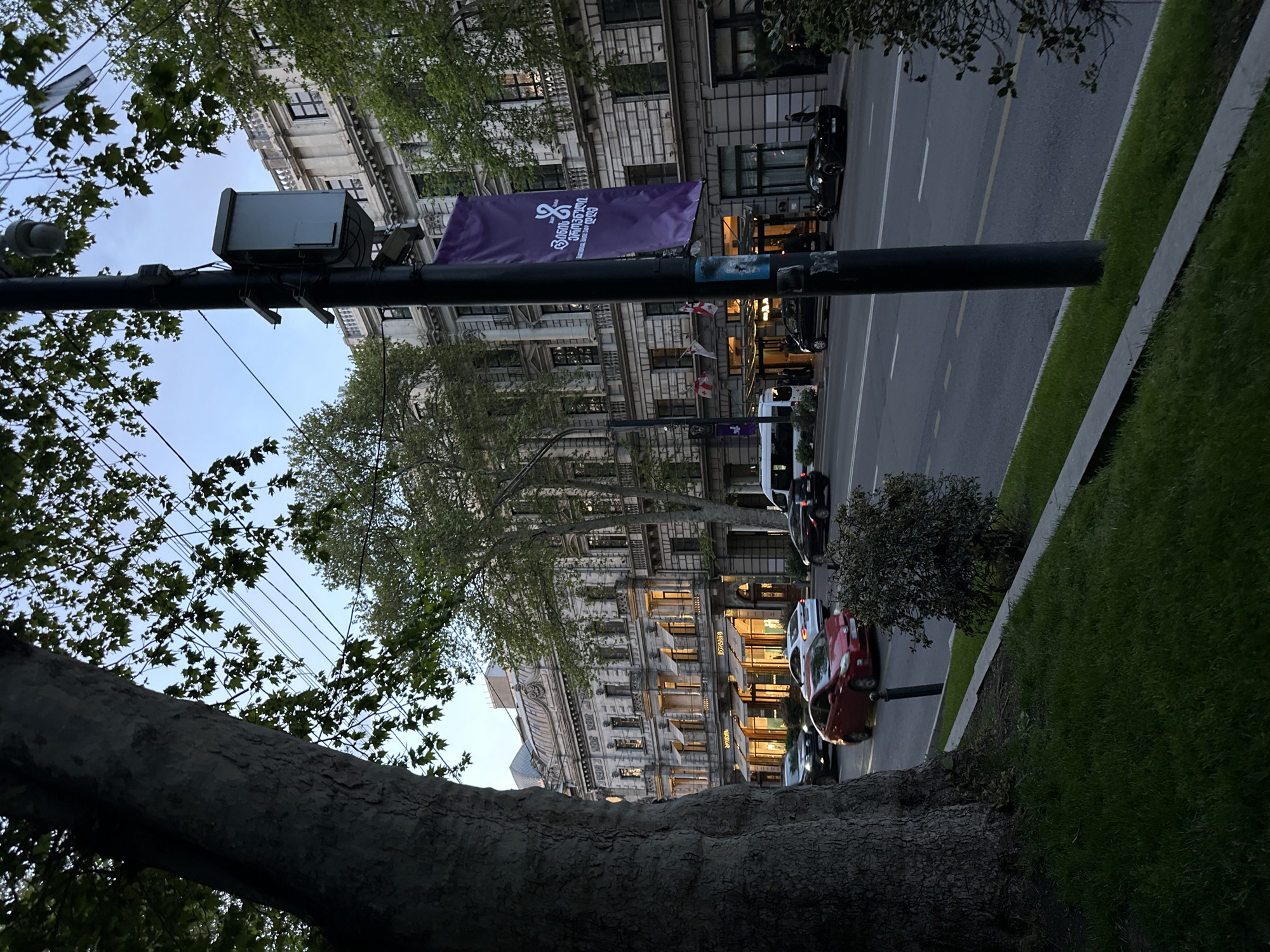 The image shows a street in Tbilisi, Georgia, lined with tall buildings. A purple banner with Georgian text and a logo is attached to a street lamp. Cars are parked and driving along the road. Sidewalks run alongside the road, with grass and small bushes visible. Part of a large tree trunk and branches frame the lower left corner of the image.