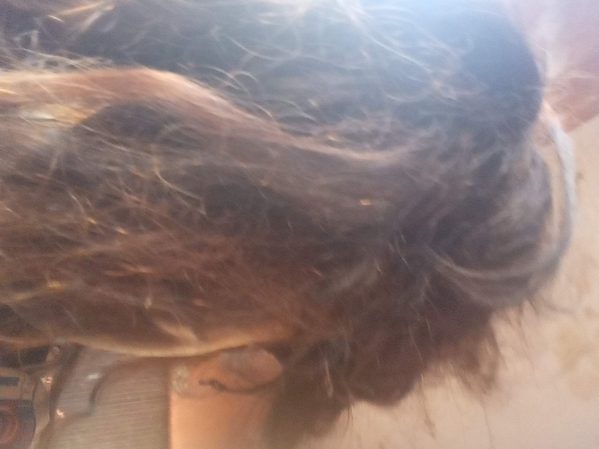 The image shows brown hair that is gathered up in a bun. A small part of an arm and hand are visible on the left side of the image. The setting and location in Nkpor, Nigeria are not discernible based solely on the provided image.
