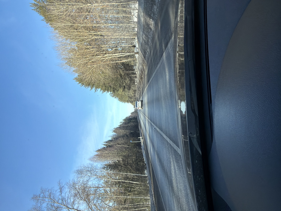 The scene depicts a straight, two-lane asphalt road in Iiul'skoe, Russia, viewed from the interior of a vehicle looking forward. A white sedan is visible in the distance, traveling in the right lane. The road surface appears dark and reflective, suggesting wetness. Both sides of the road are bordered by dense forests consisting of a mix of tall, bare deciduous trees with light bark and dark evergreen conifers. Patches of snow are present on the ground along the road shoulders and beneath the trees. A small blue road sign is visible on the left shoulder. The sky above is clear and bright blue. The lower foreground shows a dark vehicle dashboard and the base of the windshield wiper assembly.