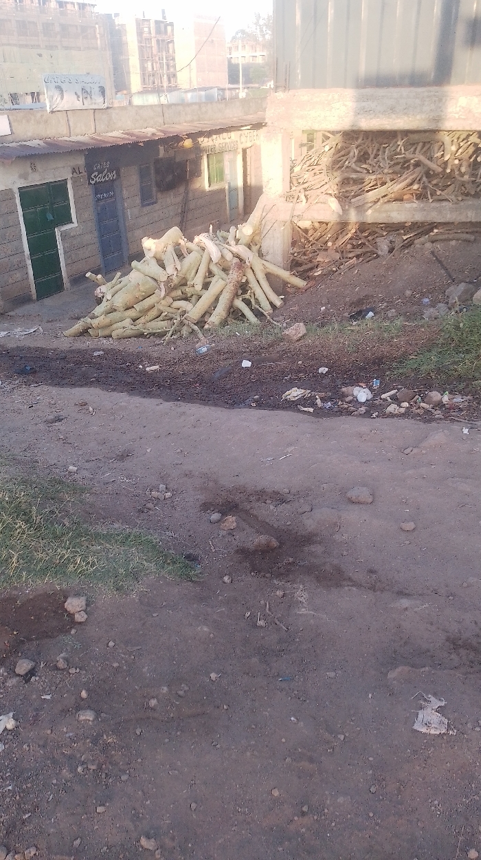 A pile of pale, peeled tree trunks rests outside a brick building with green and blue doors labeled "Salon". Another building, possibly a shop, is next door. Underneath a raised concrete structure, chopped firewood fills the space. The foreground shows a dirt road littered with trash and small stones. Buildings rise in the background under a hazy sky. The scene is a snapshot of daily life in what appears to be a less affluent area.