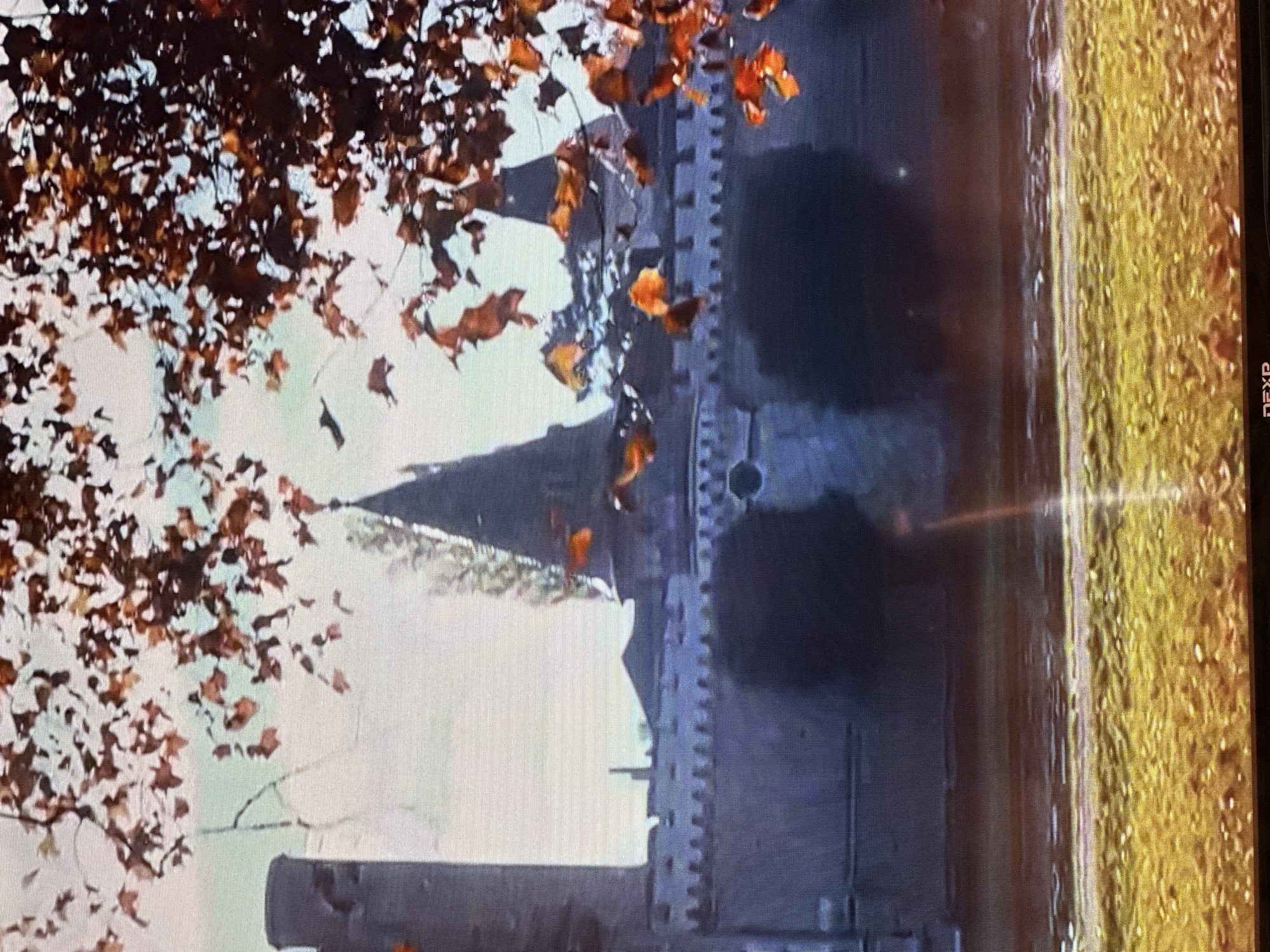 The image shows a scene with a castle-like structure in the background. In the foreground, there are autumn leaves hanging from a tree, some of which are brown and orange, suggesting the fall season. The castle appears to be made of stone and has crenellated battlements. There is a hazy or smoky element in front of the castle, which obscures some of the details. To the right of the castle, there is an area covered in what looks like yellow, textured material, possibly a field or a wall. The lighting suggests it could be daytime, but the haze makes it difficult to determine the exact time of day or weather conditions. There is a vertical black object on the far right side of the image, which appears to be a part of a screen or monitor, with the text "DEXP" visible. The overall scene has a slightly ominous or dramatic feel due to the smoke and the imposing structure. There are no visible people in the image.