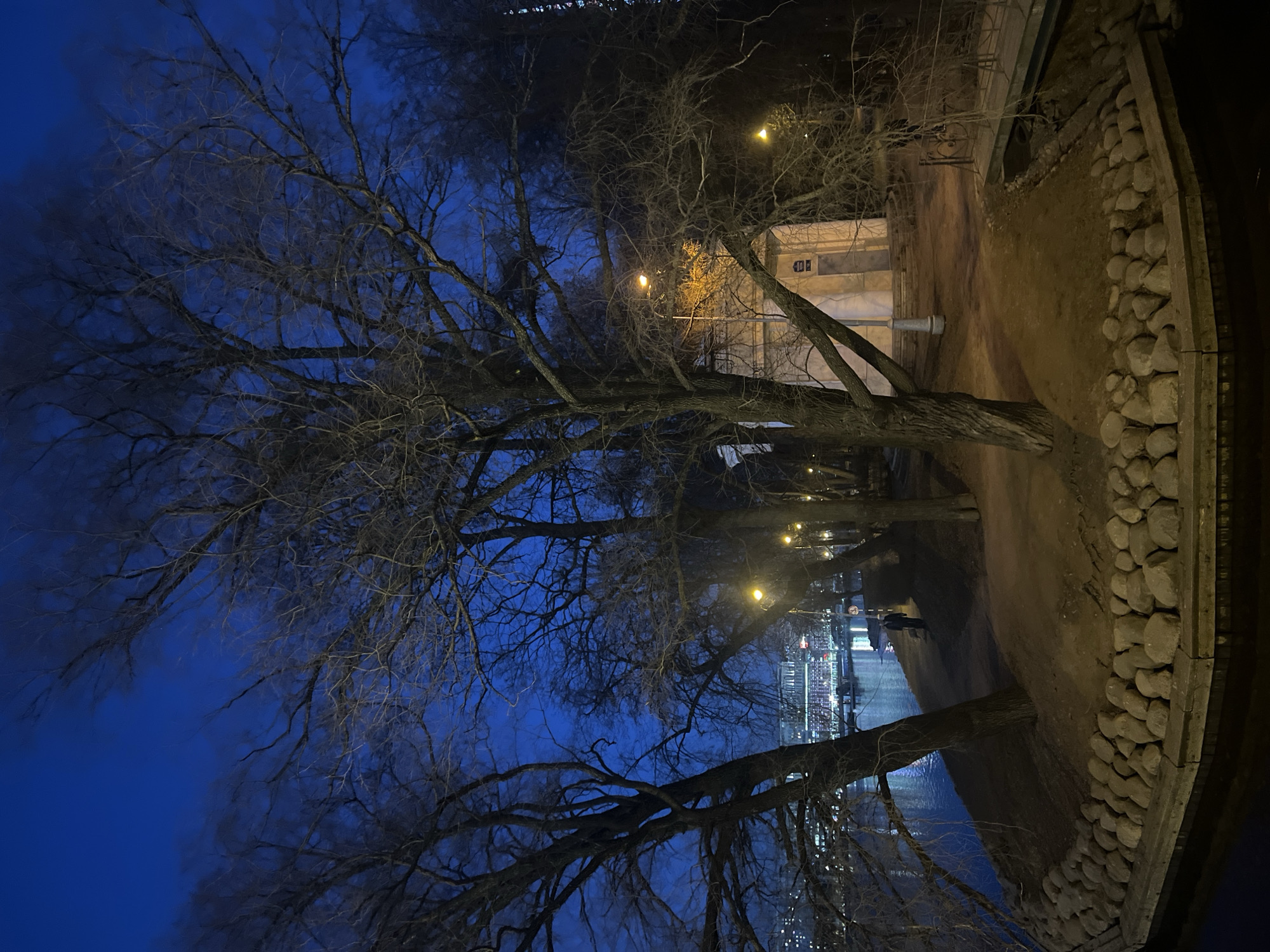 The image depicts the Embankment of the Swan Canal (Набережная Лебяжьей канавки) in Saint Petersburg, Russia, during twilight, characterized by a deep indigo sky. The scene is illuminated by artificial light sources.
In the foreground and midground, several large, bare deciduous trees with intricate branch patterns dominate the frame, silhouetted against the dark sky. A tranquil body of water, likely the Swan Canal, occupies the lower left and bottom, reflecting distant city lights. The water's edge is reinforced by an embankment constructed from large, light-colored, rounded stones, topped with a darker, flat coping.
A dirt path runs along the embankment. On this path, in the mid-left, a single individual dressed in dark clothing walks away from the viewer.
To the right, a small, light-colored, two-story rectangular building with arched fenestration is visible. A blue sign with white Cyrillic text, identifying the location as "Наб. Лебяжьей канавки," is affixed to its facade. A street lamp with warm, orange-yellow light stands directly in front of this building, and several other similar lamps are positioned further along the path, casting pools of light.
On the far right, a segment of a small, low-lying metal pedestrian bridge with dark railings is partially visible, spanning a narrow water channel or ditch. Beyond the canal in the distance, numerous city lights indicate an urban landscape across the water. The overall environment suggests a park or garden area in a cool season due to the bare trees.