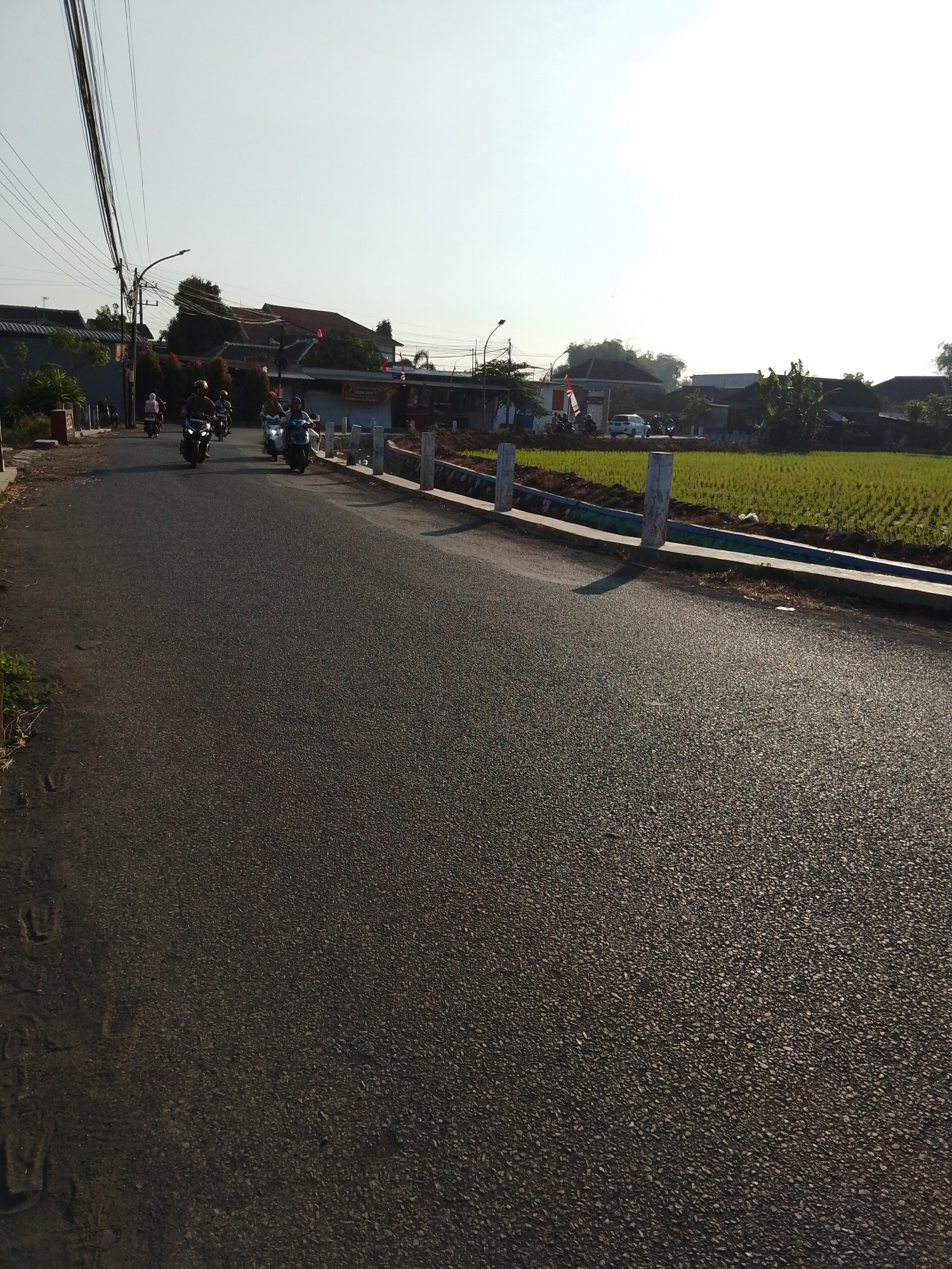 This image depicts a rural road in Pasuruan, Indonesia, likely in a village setting on the outskirts of the city. The road, paved with asphalt, is the primary focus in the foreground, showing signs of wear and tear with visible aggregate. Sunlight casts shadows across the road, indicating it is either early morning or late afternoon.
Several people are riding motorcycles on the road. There appear to be at least five motorcycles visible, with riders and possibly passengers. The motorcycles are moving in the same direction, away from the viewer, along the left side of the road. The riders are dressed casually.
To the right of the road, a paddy field is visible. The young rice plants are a vibrant green, suggesting it is in the early stages of growth. The field is bordered by a concrete drainage ditch and a low white fence. In the background, houses with red-tiled roofs and some trees can be seen. Utility poles with a dense network of electrical wires are present on the left side of the road, a common sight in Indonesian villages. A white car is parked or moving slowly on the road in the distance. The sky is clear and bright, with a slight haze, suggesting it is a sunny day. There are small red and white flags, possibly Indonesian flags, visible on some of the buildings.