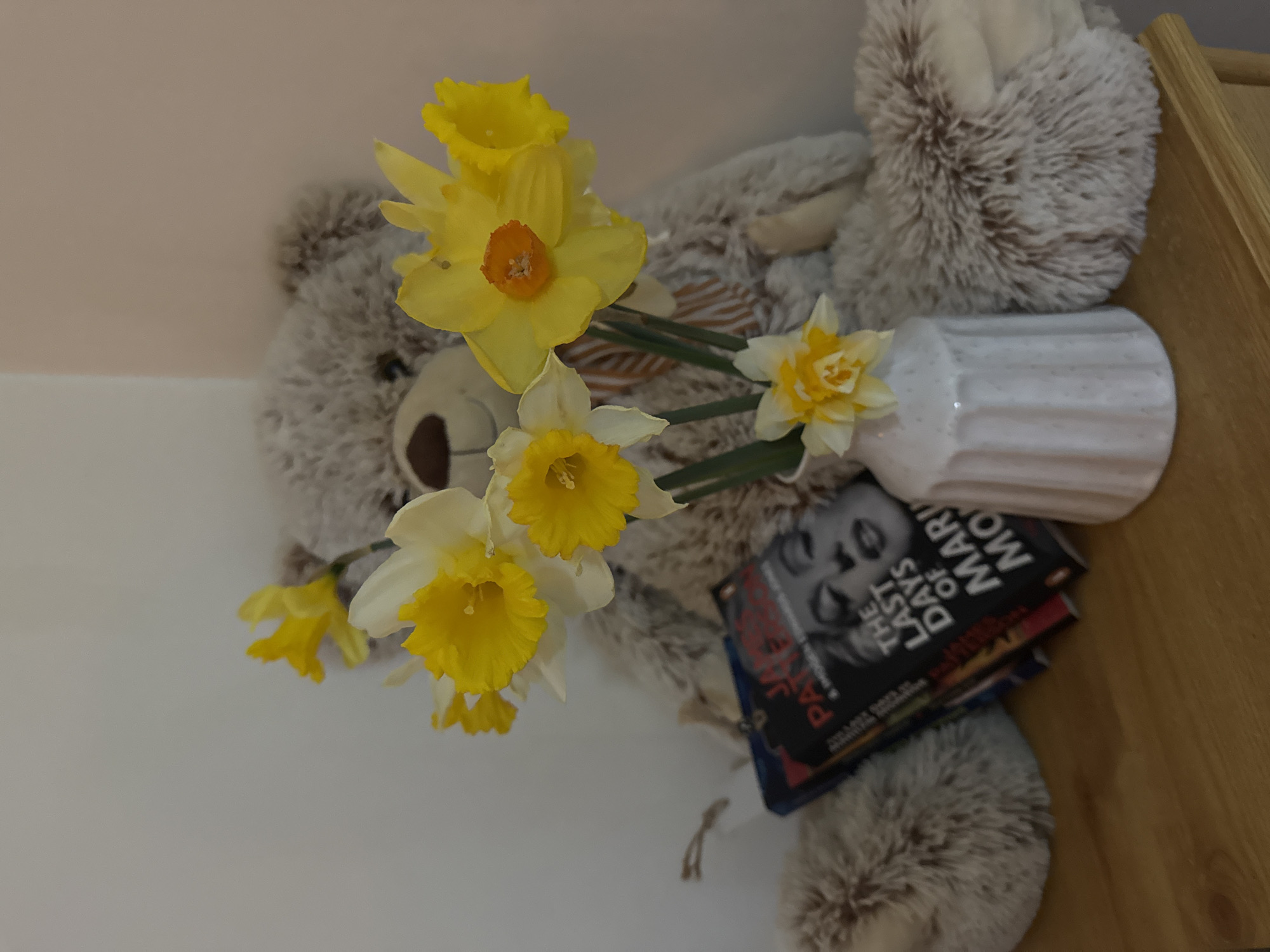 The image depicts an indoor scene, the precise location within Great Yarmouth, United Kingdom, cannot be determined from the visual content.
In the foreground, a light-brown wooden surface, possibly a tabletop or shelf, supports the objects. Centrally positioned on this surface is a white, fluted ceramic vase containing a bouquet of approximately eight to ten daffodils. The daffodils display varying shades of yellow and white petals with yellow or orange trumpets. One daffodil at the bottom of the arrangement exhibits a multi-petaled, double-flower characteristic.
Behind the vase and slightly to the left, a stack of books leans against a large, light greyish-brown plush teddy bear. The visible book on top features a black and white image of Marilyn Monroe and the title "THE LAST DAYS OF MARILYN MONROE" by James Patterson. The teddy bear, with dark eyes and a dark brown nose, is positioned upright, its head and upper torso visible, and it has a light-colored striped ribbon tied around its neck.
The background consists of two plain walls meeting in an interior corner. The wall on the left is an off-white color, while the wall on the right is a pale peach or light beige. The scene is static, devoid of people or discernible actions.