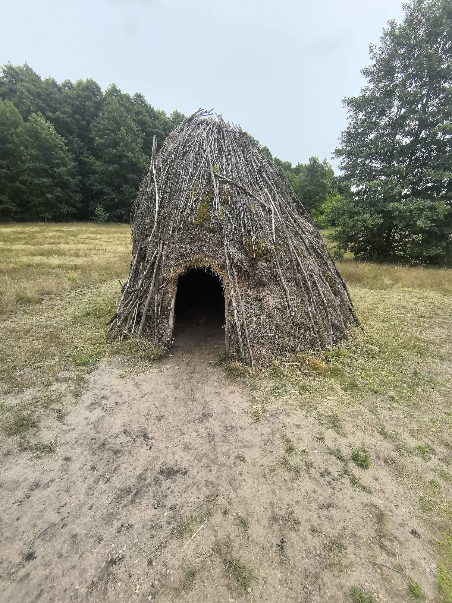 The image shows a primitive shelter constructed from branches and straw, resembling a hut or wigwam. It is situated in an open, grassy field with a dirt path leading to its entrance. In the background, a dense forest of green trees borders the field. The sky is overcast and pale, suggesting a cloudy day. The shelter has a conical shape and an opening for entry. The construction appears rustic and handmade, with visible straw and interwoven branches forming the walls and roof. There are no people or animals visible in the scene. The overall environment suggests a rural or natural setting, potentially an historical reconstruction or a natural dwelling.