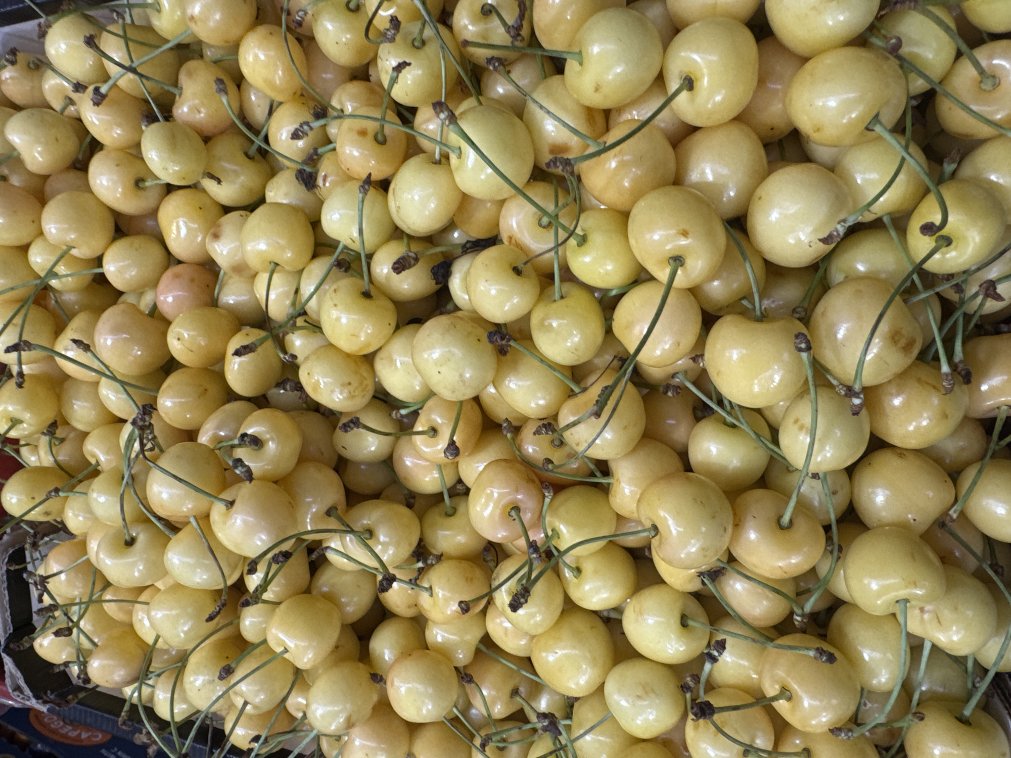 This is a close-up, overhead shot of a large pile of yellow cherries. The cherries are mostly round with a smooth, shiny skin. Some have small brown stems attached. The lighting is bright, creating highlights on the fruit. The background is dark, suggesting a shadowed area or a container. There is no indication of the city of Ufa, Russia, or any specific location.