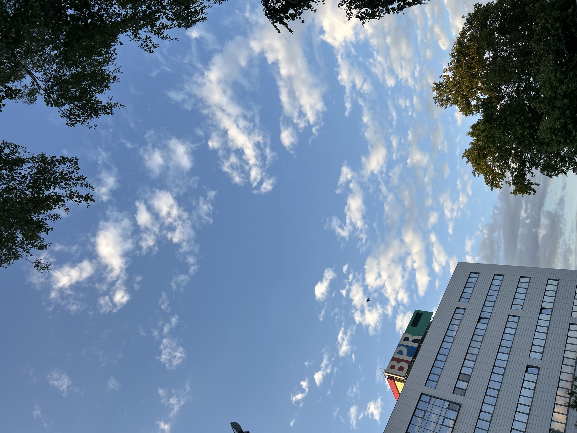 A modern office building with a large "BPR" logo on its roof is visible in Ruse, Bulgaria, against a blue sky with scattered white clouds. The building has a facade of reflective windows. Trees with green leaves frame the top right and bottom right of the image, with branches extending into the frame. A single bird is captured in flight in the sky above the building. The overall scene appears to be an outdoor daytime shot, possibly taken from a lower vantage point looking upwards.