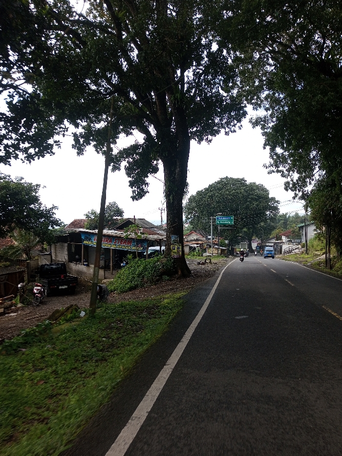 The image depicts a scene in Domphoog_Dungkarchhoeling, Bhutan, showcasing a paved, two-lane asphalt road that gently curves to the right, extending into the distance under an overcast sky. The road's left edge is marked by a solid white line, alongside which lies a strip of green grass and foliage.
On the immediate left, a large, thick-trunked tree with dense dark green leaves dominates the foreground, partially obscuring the sky. A utility pole stands upright next to this tree. Behind the pole and tree, a single-story building with a light-colored wall and a corrugated metal roof is visible. A banner is affixed to the front of this building, displaying text including "PURA TEAM", "SERVICE MOTOR", and "SELAMAT DATANG". A dark-colored pickup truck and a red motorcycle are parked on a dirt and gravel patch in front of the building. Further back, additional residential-style structures with red-tiled roofs are visible amidst dense greenery.
Further down the road, an overhead green road sign is mounted, displaying white text indicating destinations such as "PATALAN" and "KARANG". A solitary individual on a motorcycle is observed traveling away from the viewer in the middle distance, followed by a light blue car. The overall environment is lush with a variety of green trees and vegetation, framing the road from both sides.