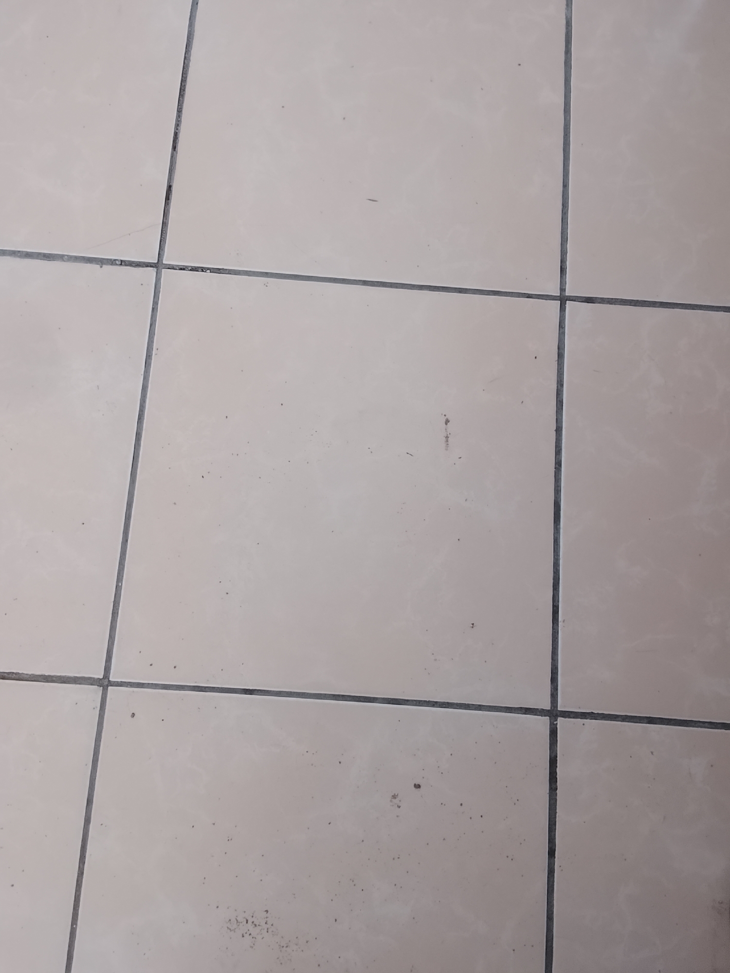 The image shows a close-up view of a tiled floor. The tiles are light beige or cream colored and arranged in a grid pattern. The grout lines are dark gray. There are some small specks and smudges on the surface of the tiles, indicating they are not perfectly clean. The lighting suggests the photo was taken indoors, possibly in a residential or commercial space. There are no people or any other identifiable objects in the frame. The scene is devoid of any specific details that would allow for identification of its location within Aqköl, Kazakhstan.