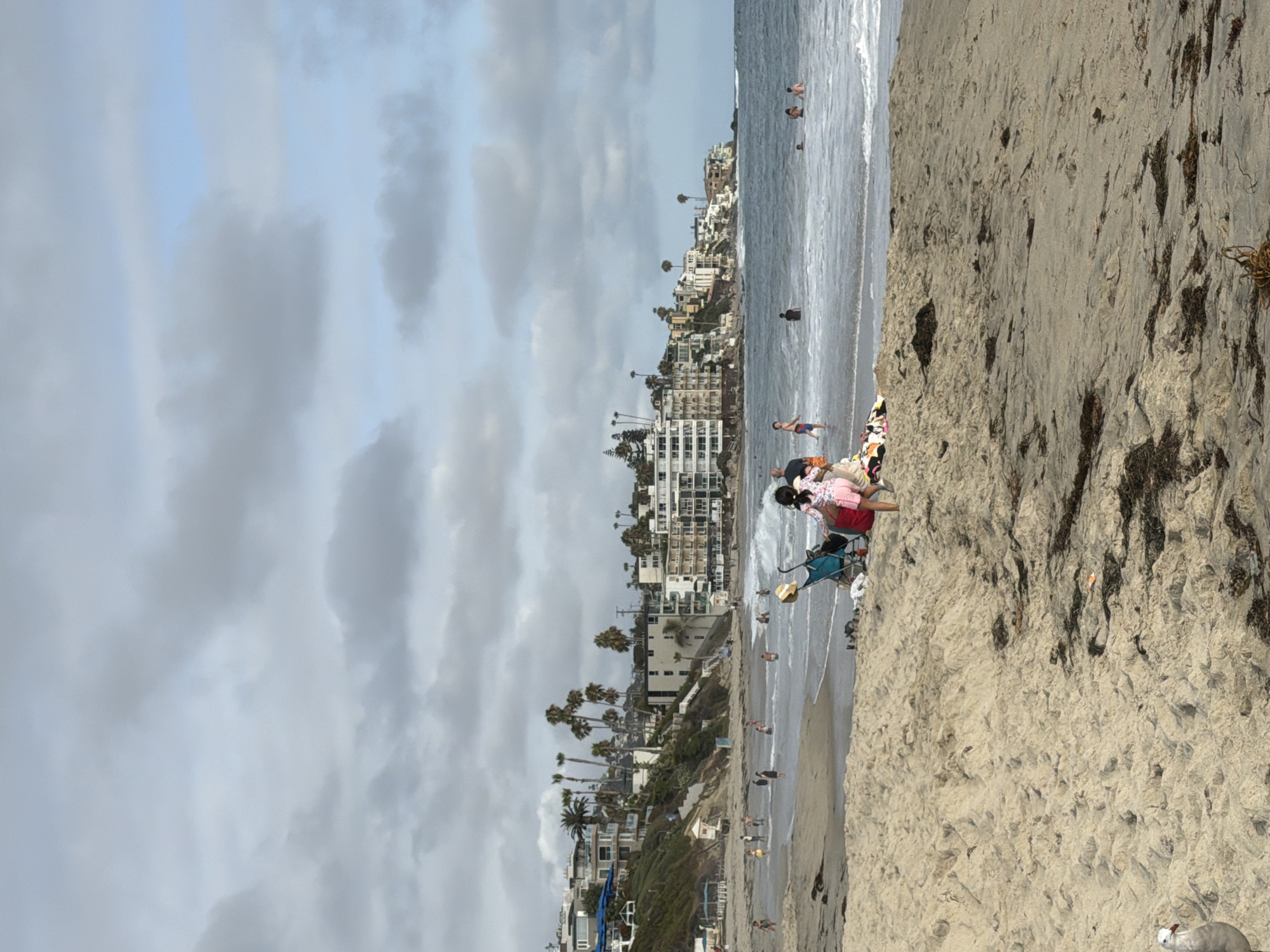 A cloudy day at the beach in Laguna Beach, California, shows several people enjoying the water and the sand. The ocean is a deep blue with white waves breaking near the shore. Buildings are visible on the hillside overlooking the beach, with palm trees scattered among them. In the foreground, a child in a pink dress and shorts plays on the sand with a stroller beside them. Further out in the water, other beachgoers swim and wade. A seagull stands on the left side of the frame. The sand is light brown and textured, with patches of seaweed.