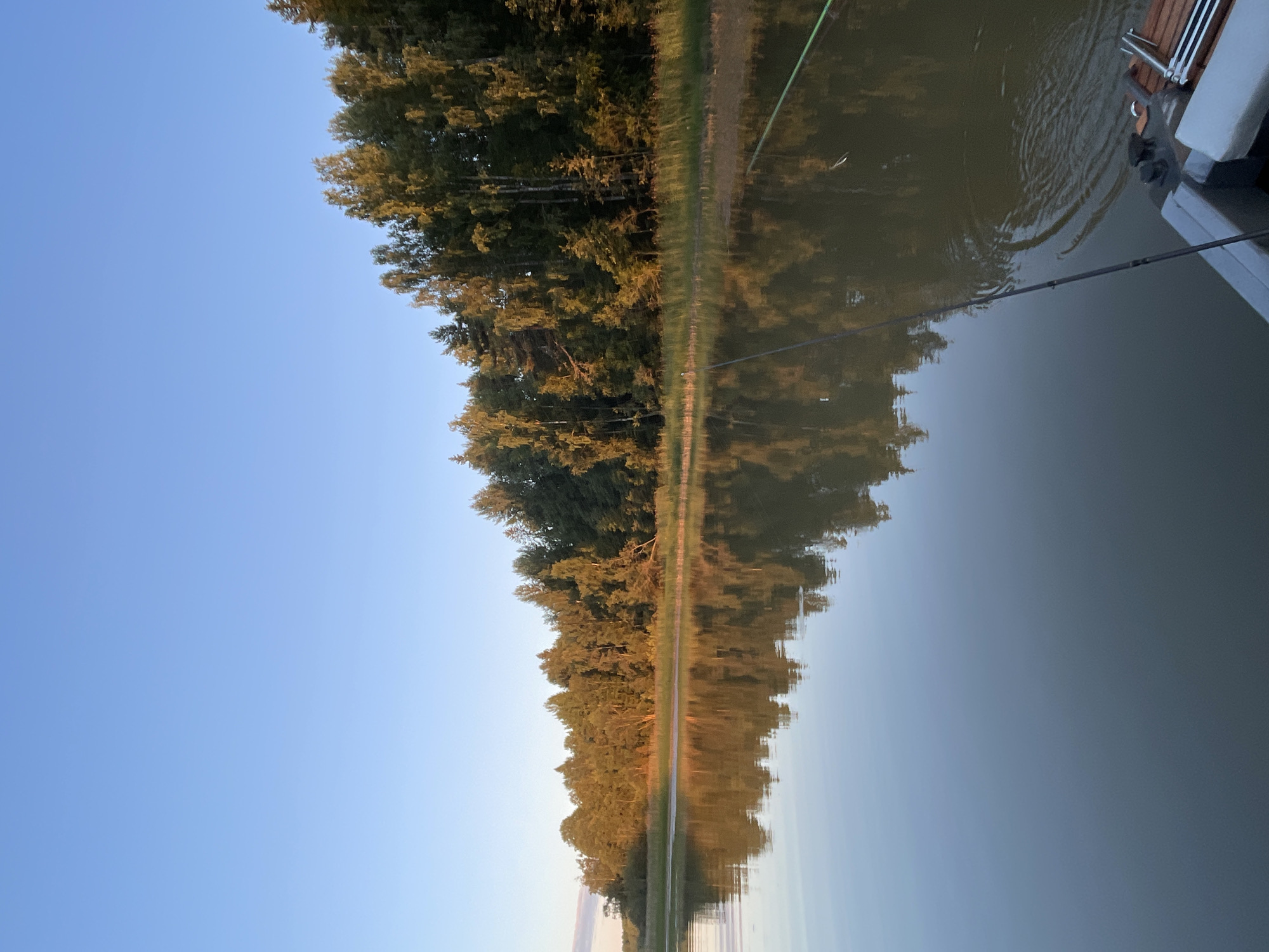 A serene scene unfolds on a body of water, likely a river or lake, reflecting the clear blue sky and a lush, tree-lined shore. The trees, a mix of deciduous and coniferous, are bathed in the warm glow of what appears to be late afternoon or early morning sunlight, casting long shadows. In the foreground, a fishing rod extends from a boat, its tip submerged in the water, suggesting an ongoing fishing activity. The boat itself, partially visible, appears to be an open vessel with some wooden seating. The water is calm, with gentle ripples around the fishing line, indicating a peaceful environment. The overall impression is one of tranquility and natural beauty, a quiet moment captured amidst the wilderness, possibly in or near the city of Berozovo, Russia, given the characteristic Siberian landscape.