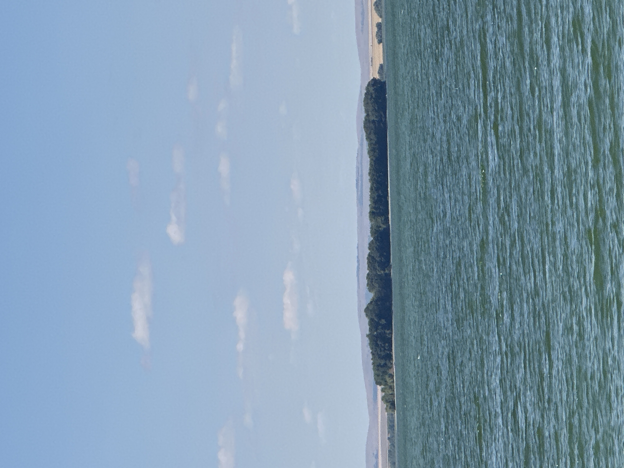 The image depicts a wide body of water under a bright blue sky with scattered white clouds. In the distance, a treeline forms a dark green strip across a low, undulating landscape. The water in the foreground is a choppy, deep teal color, with ripples suggesting a gentle breeze. The scene appears to be a natural landscape, likely a lake or reservoir, with no visible man-made structures or people. The location is not discernible from the image alone and is not within the city of Energetik, Russia, as that city is landlocked.