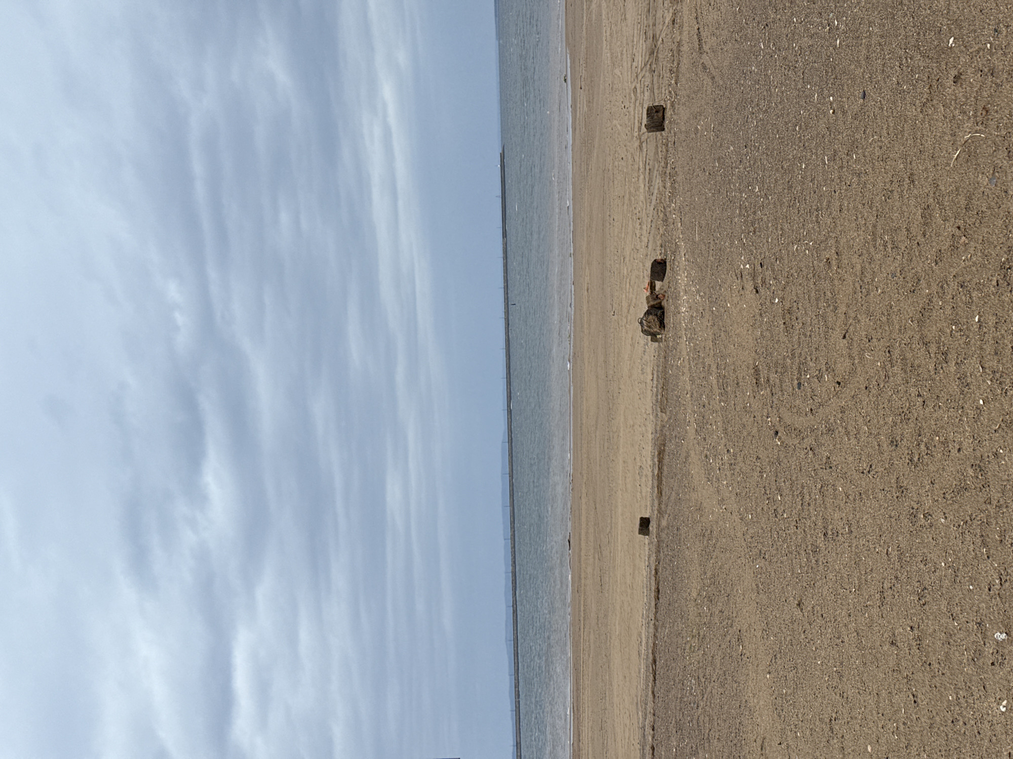 The image captures a serene landscape featuring a wide expanse of sand, water, and sky. The composition is horizontally divided, with the sky occupying the upper third, the body of water the middle, and the sandy beach the lower third.
The sky is a light, hazy blue, filled with delicate, elongated white clouds that stretch across the frame, suggesting cirrus or cirrocumulus formations. Below the sky, a calm body of water, likely a large river or reservoir, extends to a distant horizon. A long, dark, linear structure, possibly a breakwater or pier, is visible stretching along the horizon line across the water.
The lower portion of the image reveals a light brown, sandy beach. The sand appears coarse and is interspersed with numerous small white specks, likely shells or pebbles. Several dark objects are scattered on the sand. On the right side of the beach, there is a dark, rectangular block, possibly a weathered wooden post. Closer to the center, two other dark, irregular objects are visible; one resembles a small, dark backpack or bag, while the other is an indistinct piece of debris. Faint tracks and disturbances are subtly visible on the sand.
There are no people present in the scene. The lighting suggests daytime, possibly late morning or early afternoon, with soft, diffused light and no harsh shadows. The weather appears clear with light cloud cover. Given the location context, this scene is likely from the vicinity of Chaikovsky, Russia, possibly along the Kama River or the Votkinsk Reservoir. The overall mood conveyed is one of tranquility and quietude. No visible text is present in the image.