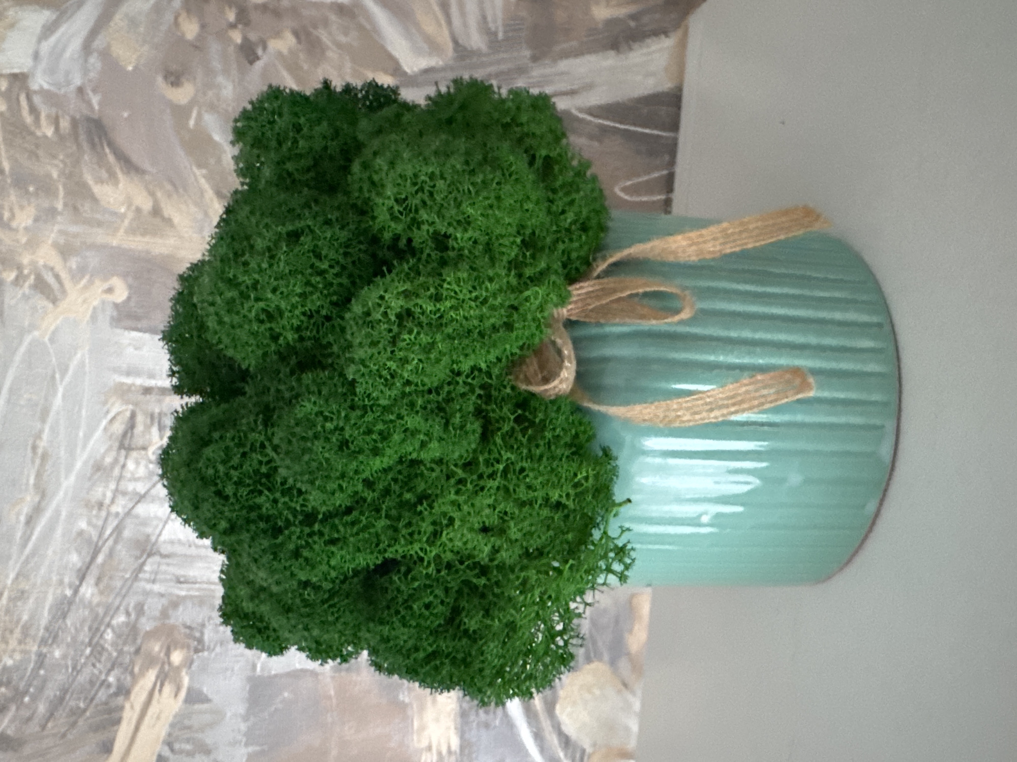 A pot of green moss is on a table in Раздолье, Russia. The pot is light blue and has a string tied around it. The table has a painting on it.