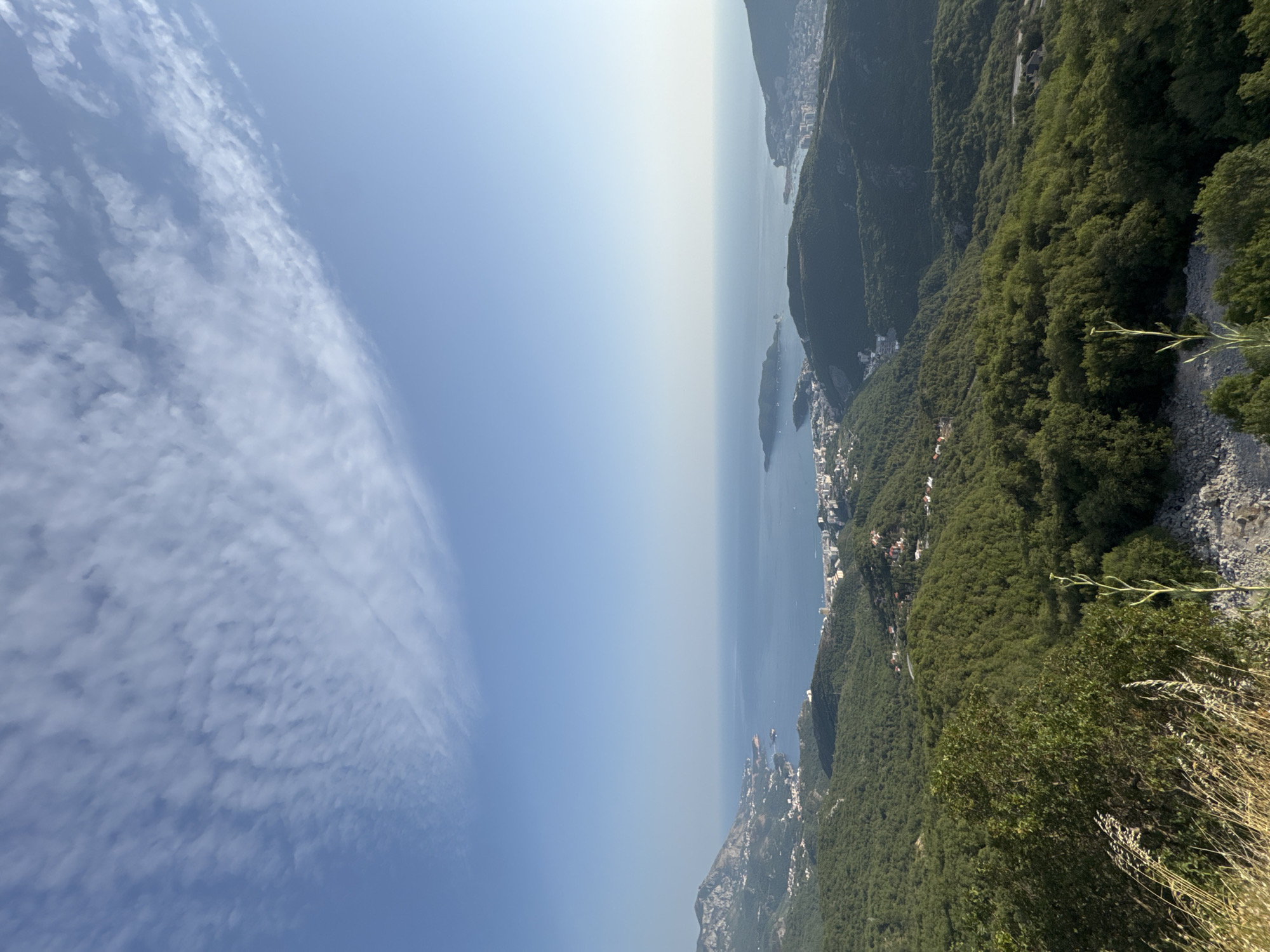 The image captures a panoramic view of a coastal landscape, likely from an elevated vantage point. In the foreground, the scene is dominated by lush green trees and vegetation, with dry grasses and rocky terrain visible at the very bottom. Beyond the immediate foliage, rolling hills covered in dense forest descend towards the sea. The sea itself is a vast expanse of blue, stretching to the horizon under a clear sky with scattered white clouds. Along the coastline, a town or city is nestled, characterized by numerous buildings and structures. In the distance, a prominent island or peninsula juts out into the water, connected to the mainland by a narrow strip of land or appearing as a distinct landmass. The overall impression is one of a scenic, natural environment juxtaposed with a developed coastal settlement. This view aligns with the location of Brajici, Montenegro, which is known for its elevated position overlooking the Adriatic Sea and coastal towns like Budva.
