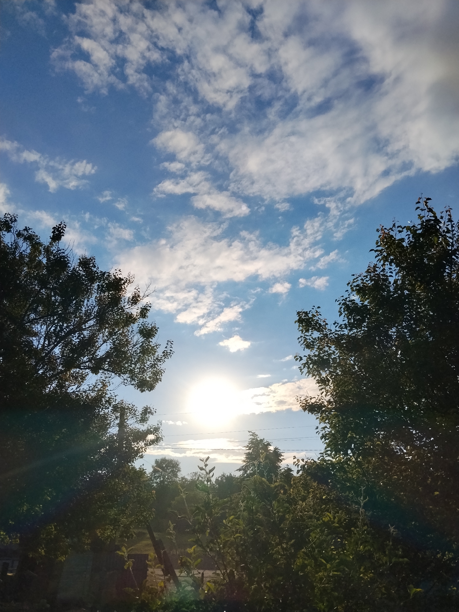 The image depicts an outdoor scene in Ustyvytsia, Ukraine, dominated by a bright sun low in the sky, creating lens flare and illuminating a blue sky with scattered white clouds. Two large, dark green leafy trees frame the view from the left and right edges of the image. In the foreground, dense foliage and branches are visible, obscuring much of the ground. A wooden post and some indistinct structures can be seen in the lower portion of the image, suggesting a rural or semi-rural setting. Power lines are visible horizontally across the sky in the middle distance. The overall impression is of a sunny day, possibly late afternoon or early morning, with the sun's intensity casting long shadows and creating a hazy effect. There are no people visible in the image.