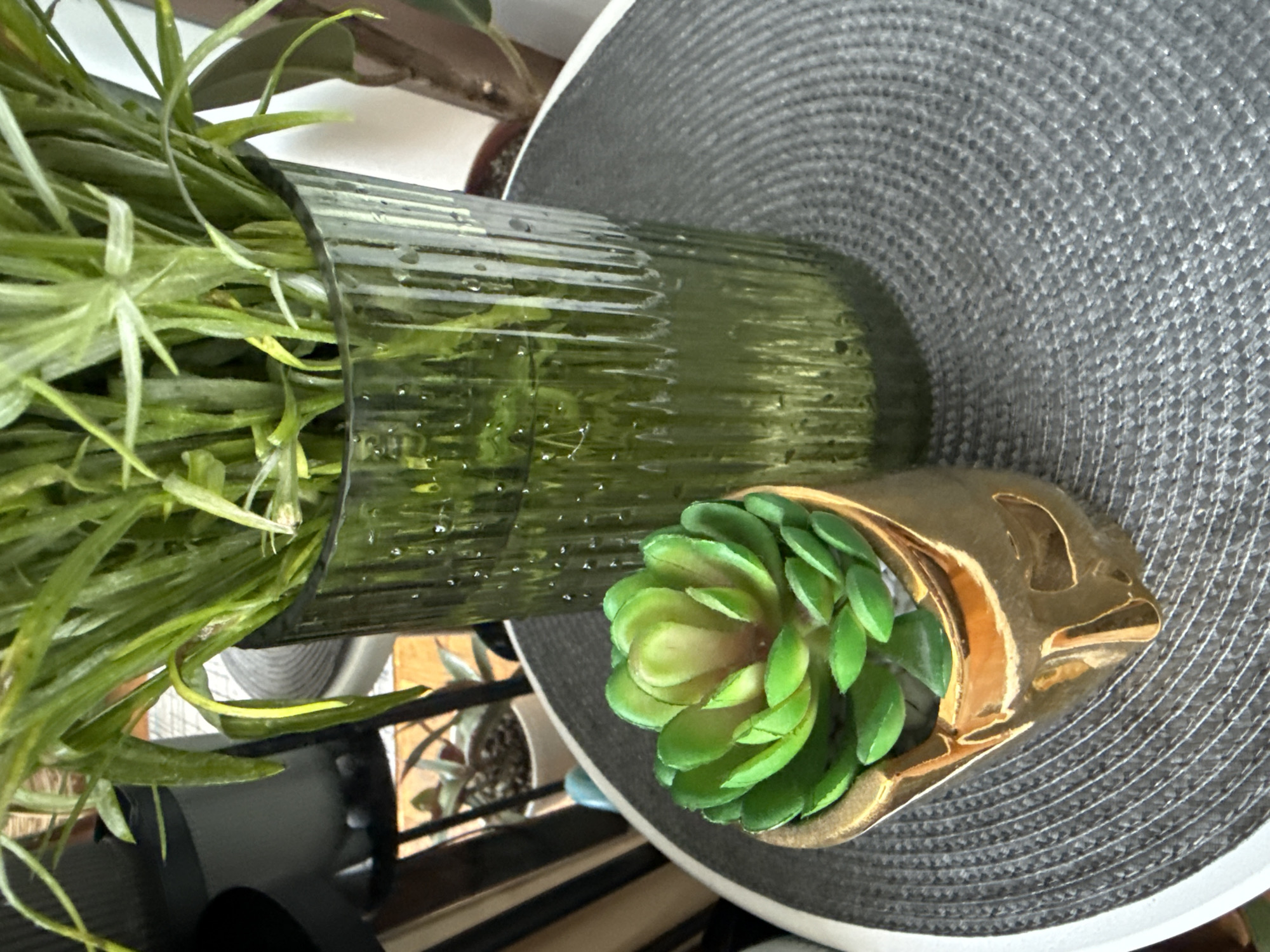 This is a close-up, overhead, vertical shot of a decorative arrangement of plants and a golden fish-shaped holder. The main subjects are a tall, clear green glass vase filled with long, thin, grass-like green plants, and a small, artificial succulent plant nestled in a decorative gold holder. The holder appears to be shaped like a fish, with an opening for the succulent.
The vase and succulent are placed on a textured, circular grey placemat or mat. The background is blurred, showing hints of other plants and what might be indoor shelving. The lighting suggests it is daytime, possibly indoors near a window, as there are highlights on the glass vase and water droplets visible inside it.
The overall scene is domestic and decorative, focusing on a curated arrangement of plants. There is no visible text in the image. The image appears to have been taken in Kyiv, Ukraine, as per the location context.