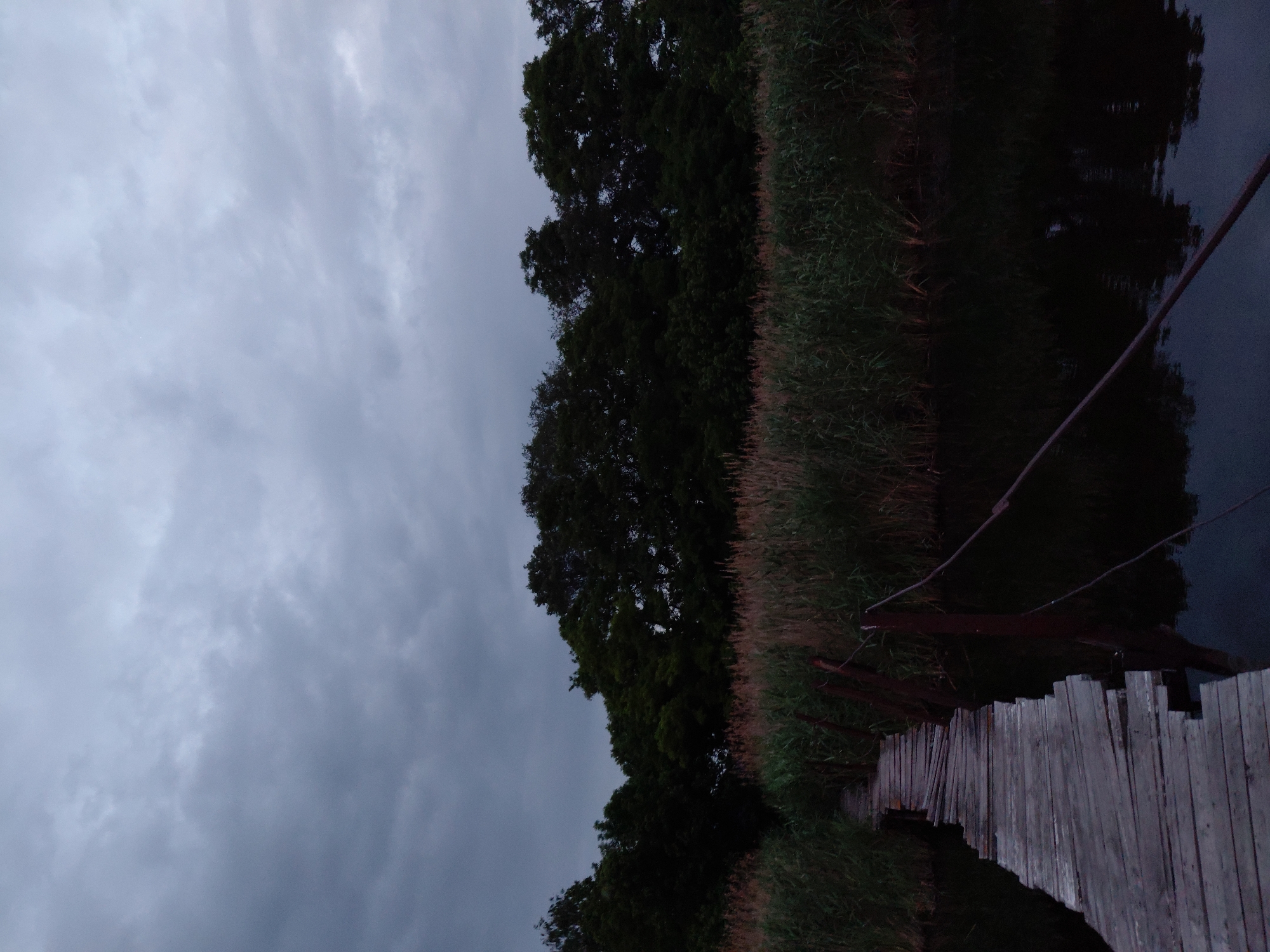 This is a vertical, low-angle, outdoor photograph taken at dusk in Ustyvytsia, Ukraine. The scene depicts a dilapidated wooden footbridge crossing a dark body of water. The bridge is made of weathered, grey planks that appear uneven and partially broken in places. Wooden posts, some with thin wires attached, support the bridge and extend into the water.
To the left of the bridge, tall, green reeds and grasses grow along the water's edge. Beyond the reeds, a dense line of dark green trees forms a backdrop, silhouetted against a cloudy, twilight sky. The water is dark and reflective, mirroring the trees and the sky. The overall atmosphere is somber and quiet, characteristic of twilight. No people are present in the image.