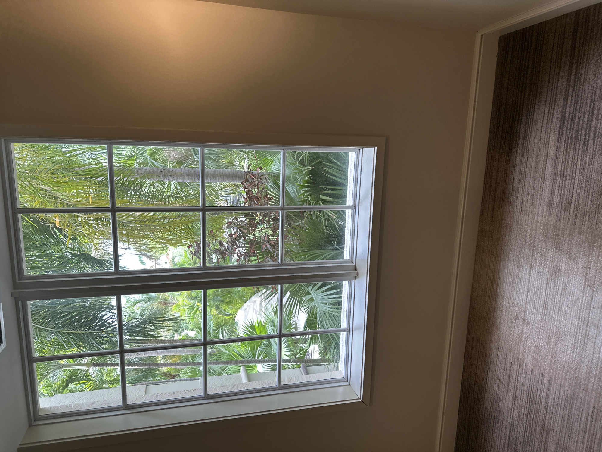 A view from inside a room in Aventura, Florida, United States, features a double-hung window. Outside the window, dense foliage of palm trees and other greenery is visible. To the right of the window, a textured brown wall covering or curtain is present. The interior walls and window frame are a neutral, light color. No people are visible.