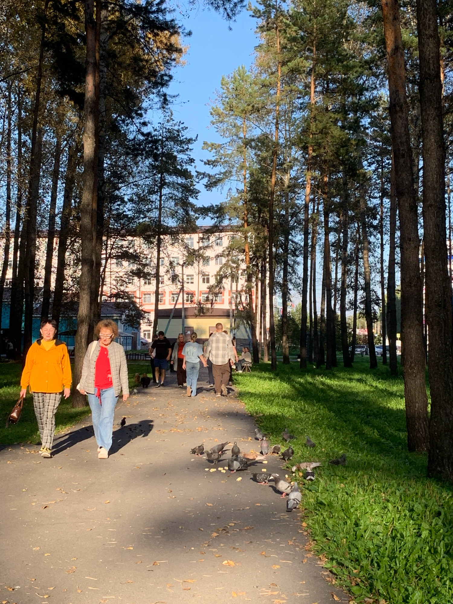 In Prokopyevsk, Russia, on a sunny day, a paved walkway winds through a park lined with tall pine trees. In the foreground, two women walk side-by-side on the path. The woman on the left wears a bright orange jacket and checkered pants, carrying a brown bag. The woman on the right is dressed in a grey jacket over a red top and blue jeans, with a red scarf around her neck. Behind them, a group of people are walking, some with dogs. A flock of pigeons gathers on the path and the adjacent grassy area, pecking at scattered food. In the background, a multi-story building with numerous windows stands amidst the trees. Sunlight casts long shadows across the path and illuminates the green grass.