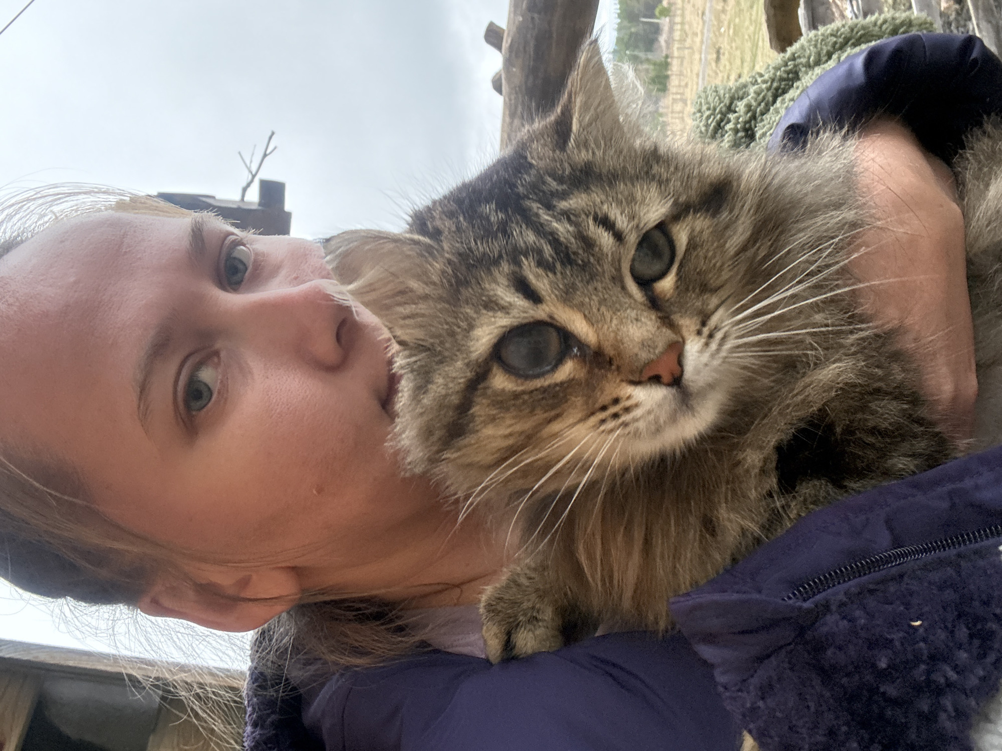 A woman is holding a tabby cat in her arms, taking a selfie outdoors in Tyulyuk, Russia. The woman's face is close to the camera, angled from the left, with light skin, blonde hair, and green eyes. The cat has a mix of brown and gray fur, green eyes, and long whiskers. The woman is wearing a dark blue jacket. In the background, there are wooden structures, foliage, and an overcast sky.