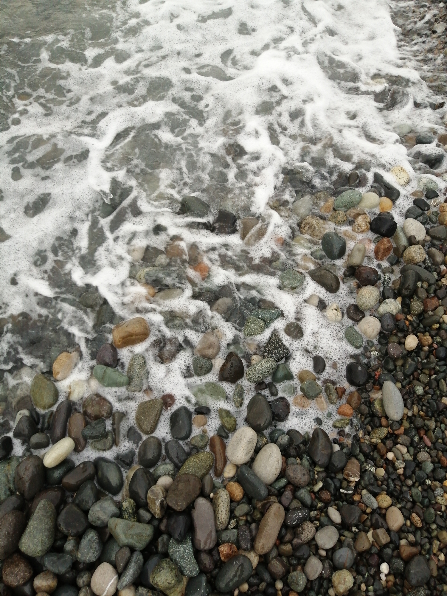 This image captures a close-up, overhead view of a pebble beach on the Black Sea coast in Batumi, Georgia. The scene is dominated by a collection of smooth, rounded pebbles in various shades of grey, brown, green, and some lighter, off-white stones. The pebbles are wet from the receding tide, giving them a darker, richer appearance.
The top portion of the image features the edge of the sea with foamy white waves lapping over the stones. The water is a murky grey-green, and the foam creates a textural contrast with the solid pebbles. The arrangement of the stones suggests a natural, unmanicured beach. There are no people or animals visible in the frame. The lighting appears to be overcast, contributing to the subdued color palette. The overall impression is one of natural seaside tranquility.