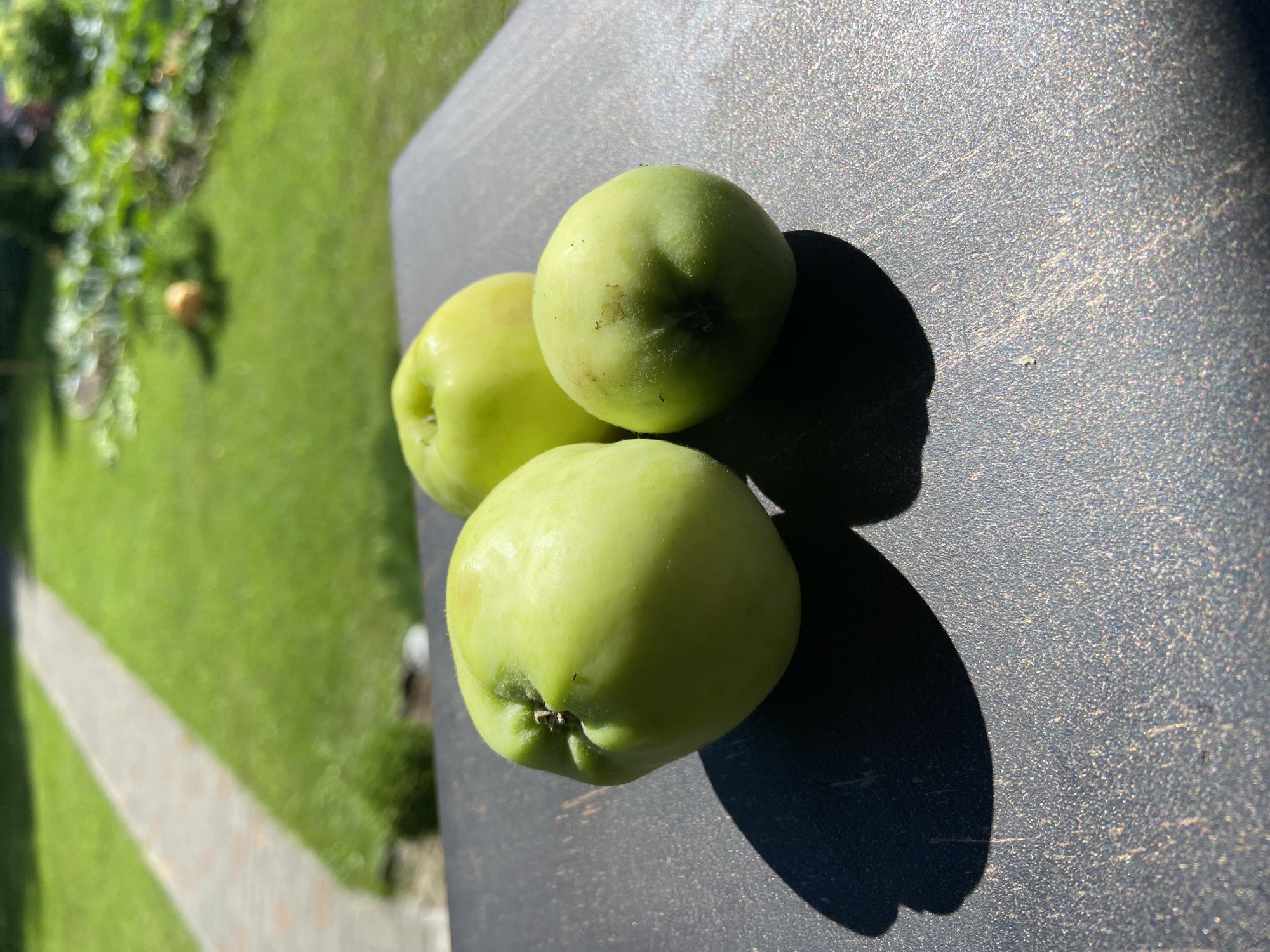 Three green apples are arranged on a dark textured surface. The largest apple is on the left, a medium-sized apple is behind and to the right of the large apple, and a small apple is in front and to the right of the medium-sized apple. The apples are casting shadows on the surface. The background is out of focus, showing a green grassy area with a light-colored pathway. There is also a hint of some garden plants in the far background. The image appears to have been taken outdoors on a sunny day.