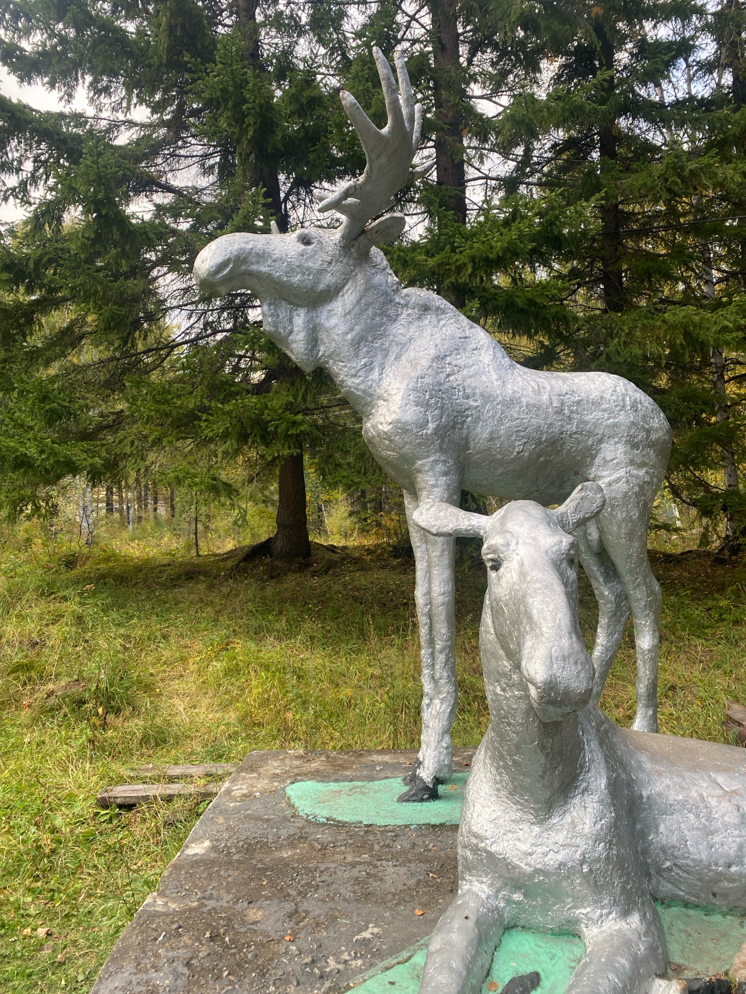 This is a full-frame, eye-level, outdoor, horizontal shot of two silver-colored statues of moose in a forest setting. The statue in the foreground, on the right, is a calf lying down, facing left. The statue behind it, on the left, is an adult moose standing, facing left, with its head tilted upwards and its antlers visible. The statues are positioned on a concrete base with green painted areas. The background consists of a dense forest with tall evergreen trees and a grassy, uneven terrain. The lighting is overcast. The scene is located in the city of Arshan, Russia.