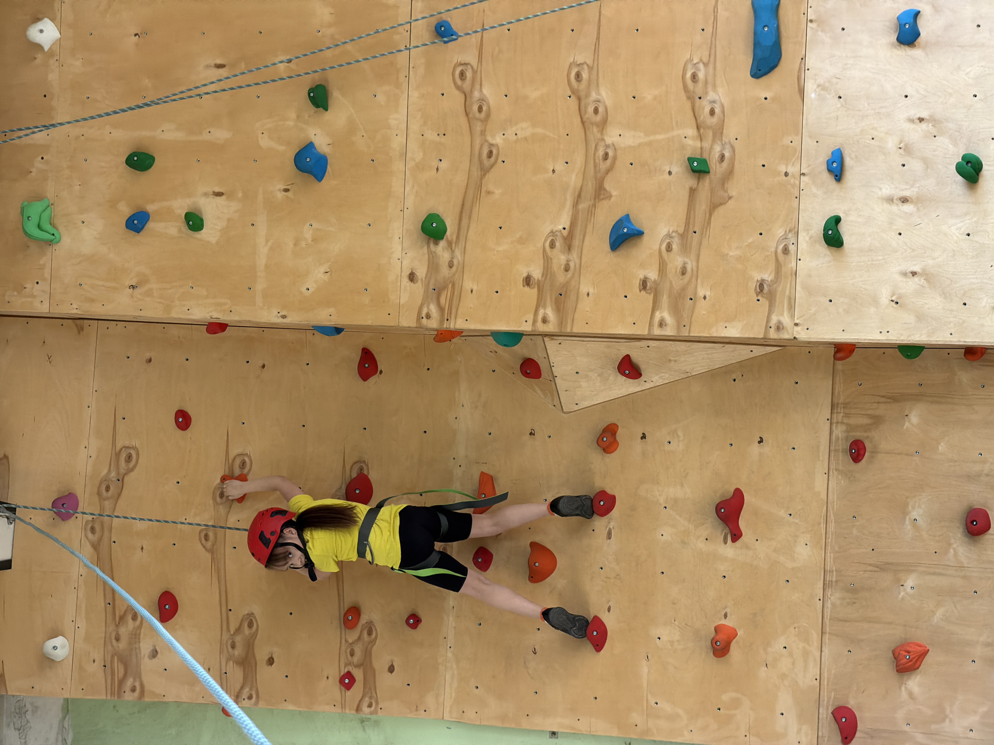 An indoor climbing wall, constructed from light-toned wooden panels, is the setting for this image from Izhevsk, Russia. The wall features a variety of colorful climbing holds, including red, orange, green, blue, white, and pink, strategically placed across its surface, which appears to have angled or overhanging sections.
A young person, likely a child, is actively engaged in climbing, positioned horizontally across a lower part of the wall. They are wearing a bright yellow short-sleeved t-shirt, black shorts, and dark-colored climbing shoes. For safety, they are equipped with a red climbing helmet, and a green and black harness to which a light blue and white patterned safety rope is attached. The climber's body is parallel to the ground, with their right hand gripping an orange hold and both feet firmly placed on red holds, demonstrating focus and controlled movement. The image captures the dynamic nature of indoor rock climbing within a dedicated facility. There is no visible text in the image.
