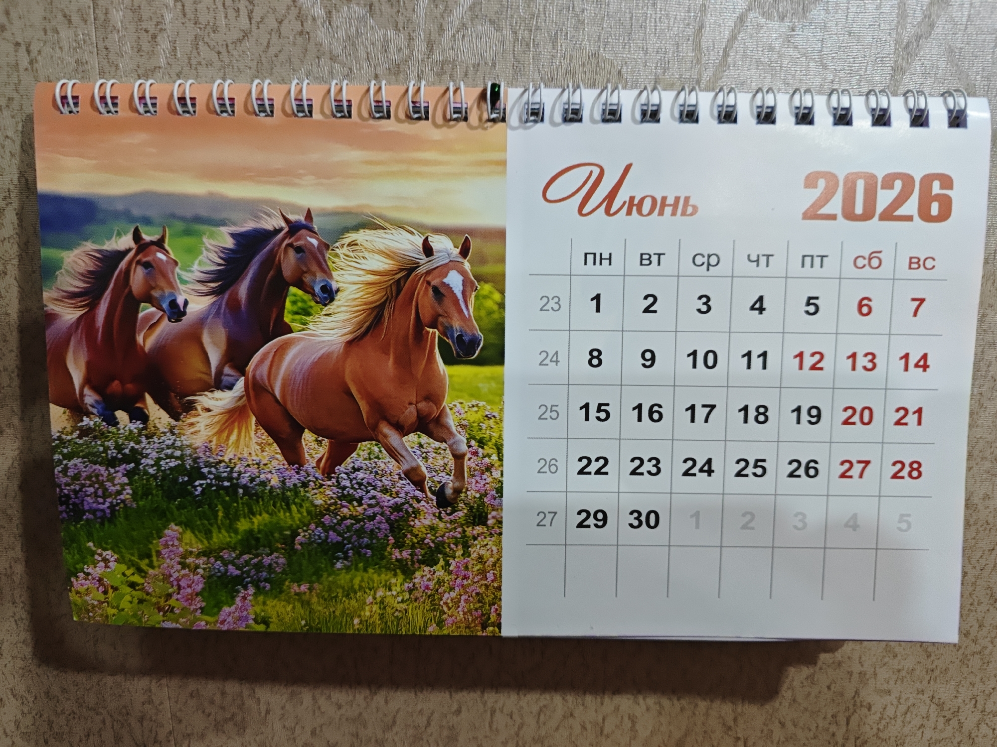 This image is of a desk calendar featuring a painting of horses in a field on the left side and a calendar grid for June 2026 on the right. The calendar is positioned on a textured surface, likely a table or desk. The calendar is bound with a white spiral wire. The artwork depicts three horses running through a field of purple and pink flowers, with a sunset or sunrise in the background. The calendar grid shows the month of June 2026, with days of the week abbreviated in Russian. The dates are numbered, with some dates highlighted in red. The image does not contain any explicit information about the city of Polyarny, Russia, or any people.