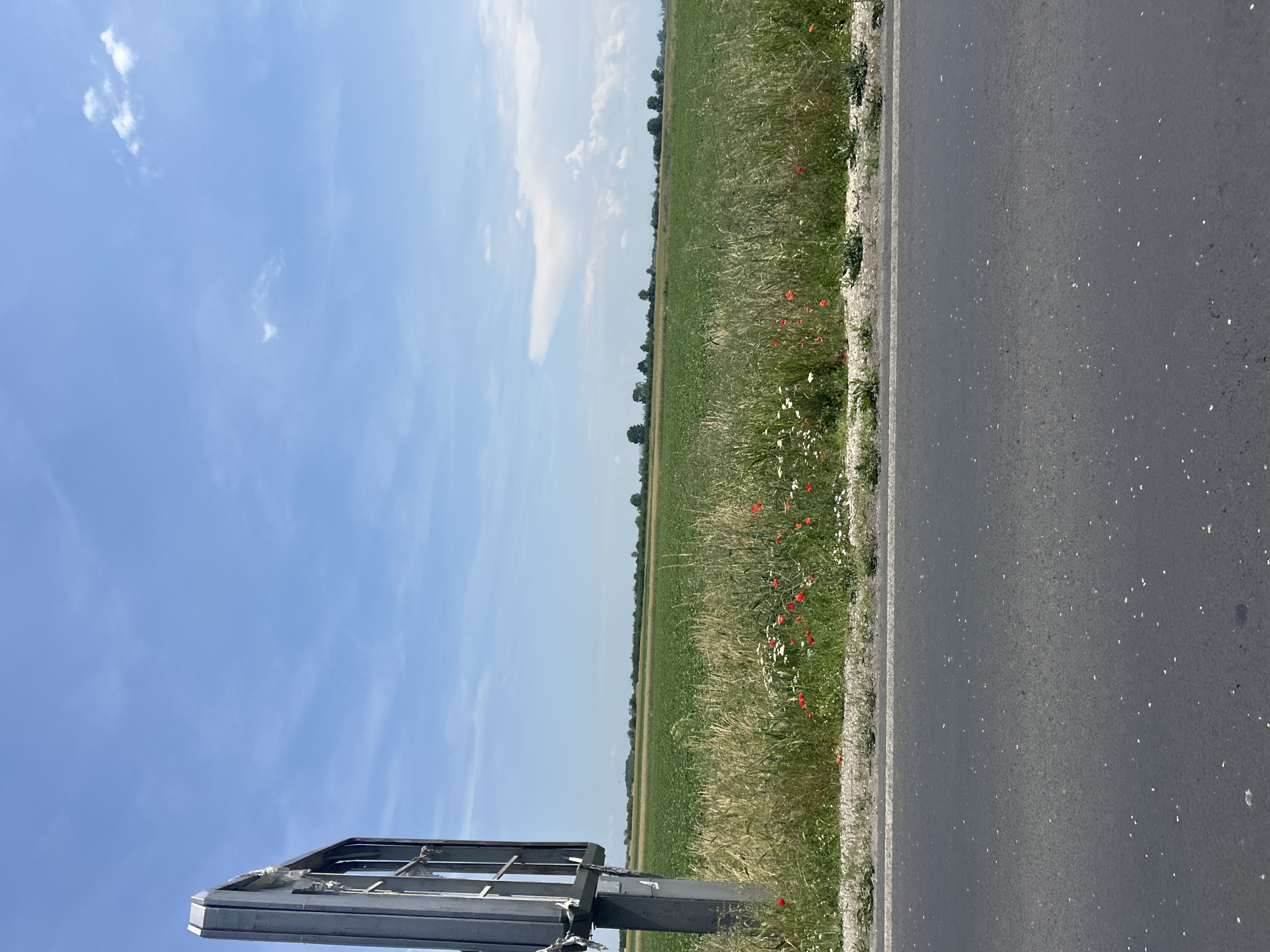 The image depicts a bright, sunny rural landscape, likely taken in Graf Ignatievo, Bulgaria. On the right side of the frame, a dark asphalt road is visible, marked by a solid white line along its edge. Immediately to the left of the road, a vibrant strip of roadside vegetation thrives, characterized by tall green grasses, numerous white wildflowers, and scattered clusters of red poppies. Beyond this strip, a vast, green agricultural field stretches towards the horizon, appearing cultivated with young crops. A distant line of trees forms a dark green band along the far horizon. The upper portion of the image is dominated by a clear blue sky with a few wispy white clouds. In the bottom-left corner, a partial view of a grey metallic structure, resembling the frame or support of a large billboard, is present. The scene is illuminated by bright daylight, suggesting it is mid-day. No people or activities are visible, and there is no discernible text. The overall impression is one of serene and open countryside.