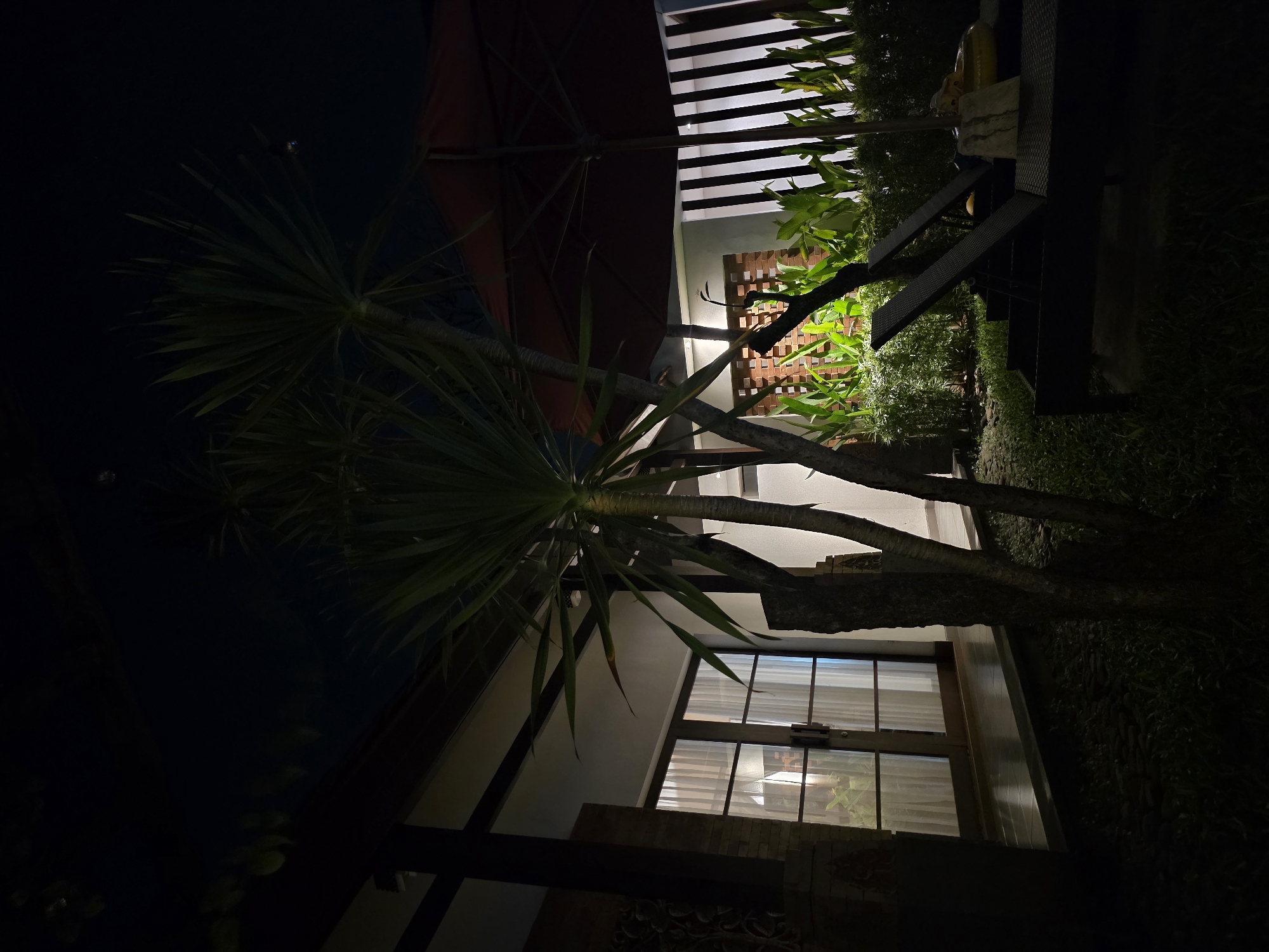 This outdoor nighttime scene in Unknown, Unknown shows a building with a large window, partially obscured by a multi-trunked palm tree. The window is lit from within, with visible curtains. Above the window is part of a building structure with a white ceiling. The palm tree's trunks and leaves create shadows and add to the scene's depth. In the upper right, there is patio furniture, including a table and seating, alongside dense green foliage. The sky and other areas are dark, suggesting low-light conditions.