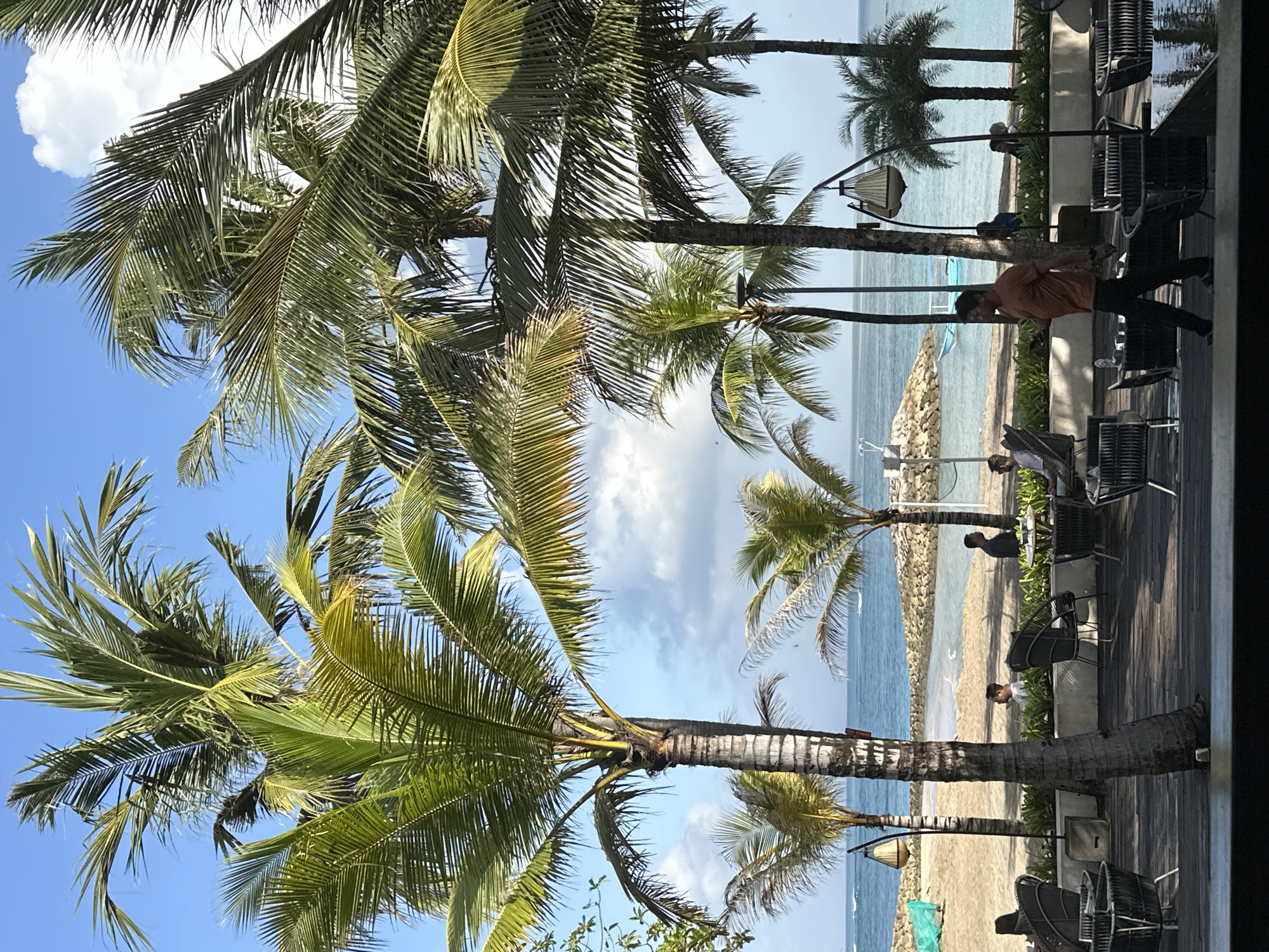The image depicts an outdoor seating area at a beachside establishment in Kuta, Indonesia. Several palm trees are prominent in the foreground and midground, with their fronds casting shadows on the wooden deck. In the background, the turquoise ocean meets a sandy beach lined with a stone barrier. Several people are visible, seated at tables or walking through the area. One man in an orange t-shirt and black pants is walking towards the right side of the frame, looking at his phone. Another man in a dark shirt is standing near a table. The atmosphere appears relaxed and tropical, with clear blue skies and scattered clouds above. The seating area features modern, dark-colored chairs and tables arranged on a wooden deck.
