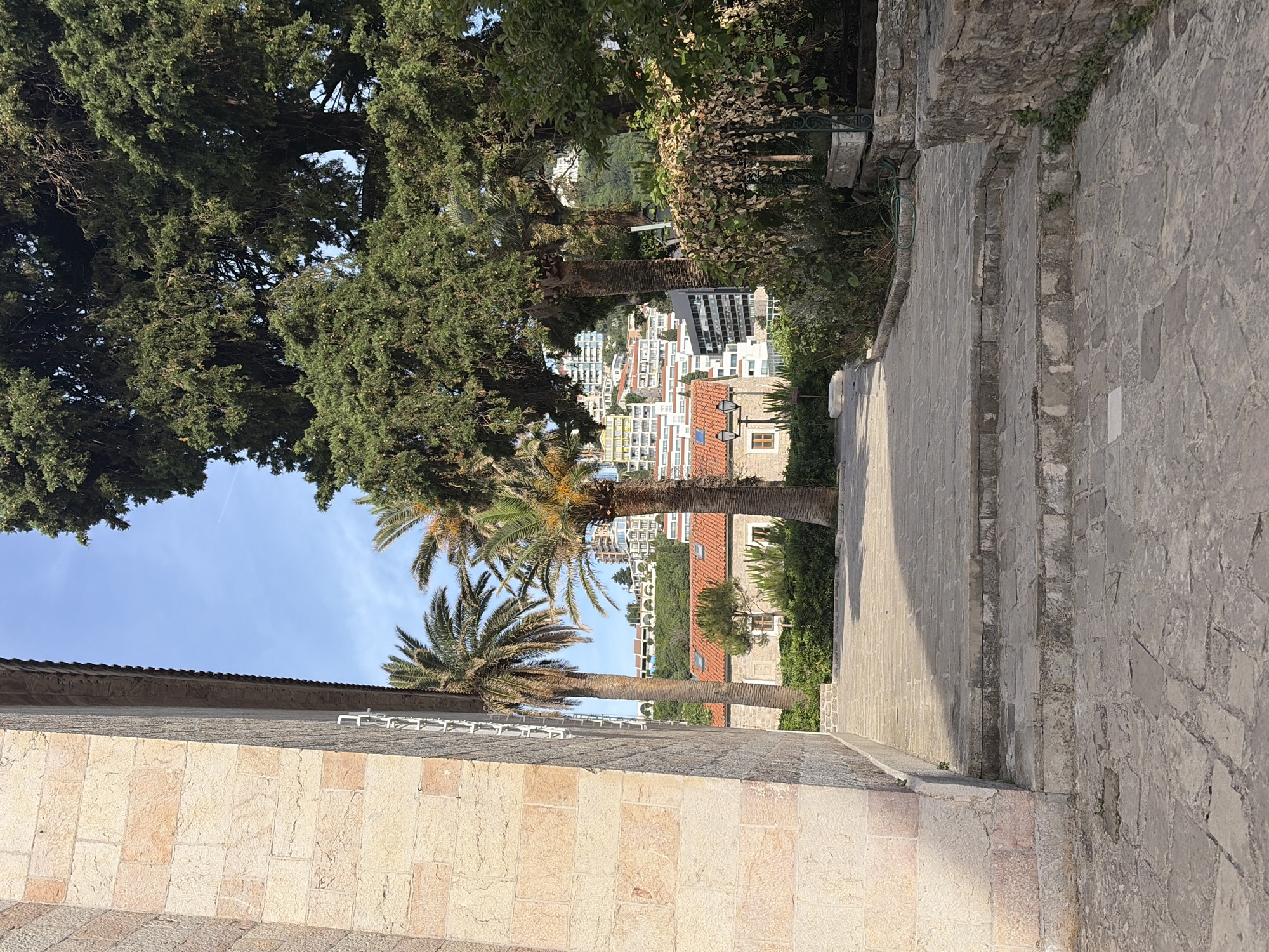 The image depicts a view from an elevated position in Budva, Montenegro. The foreground shows a stone wall on the left and a stone-paved walkway with steps on the right. The walkway leads downwards, offering a view of the city's buildings with orange tile roofs in the middle ground. Palm trees and other greenery are interspersed amongst the buildings, and larger trees frame the top of the image against a light blue sky. There are no people visible in the frame. The scene is bathed in sunlight, casting shadows along the walkway and highlighting the textures of the stone surfaces.