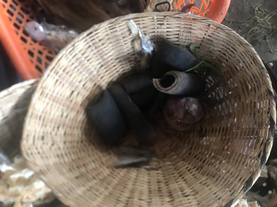 The image shows a woven basket filled with various items. The basket is made of natural materials and has a round, open top. Inside the basket, there are several dark-colored, possibly rubbery, items. A single red onion is nestled in the center of the basket, surrounded by the dark objects. There is a small, green plant stem visible in the upper right corner of the image.
The image is taken in Umudike, Nigeria, located at the coordinates latitude: 5.481, longitude: 7.546.