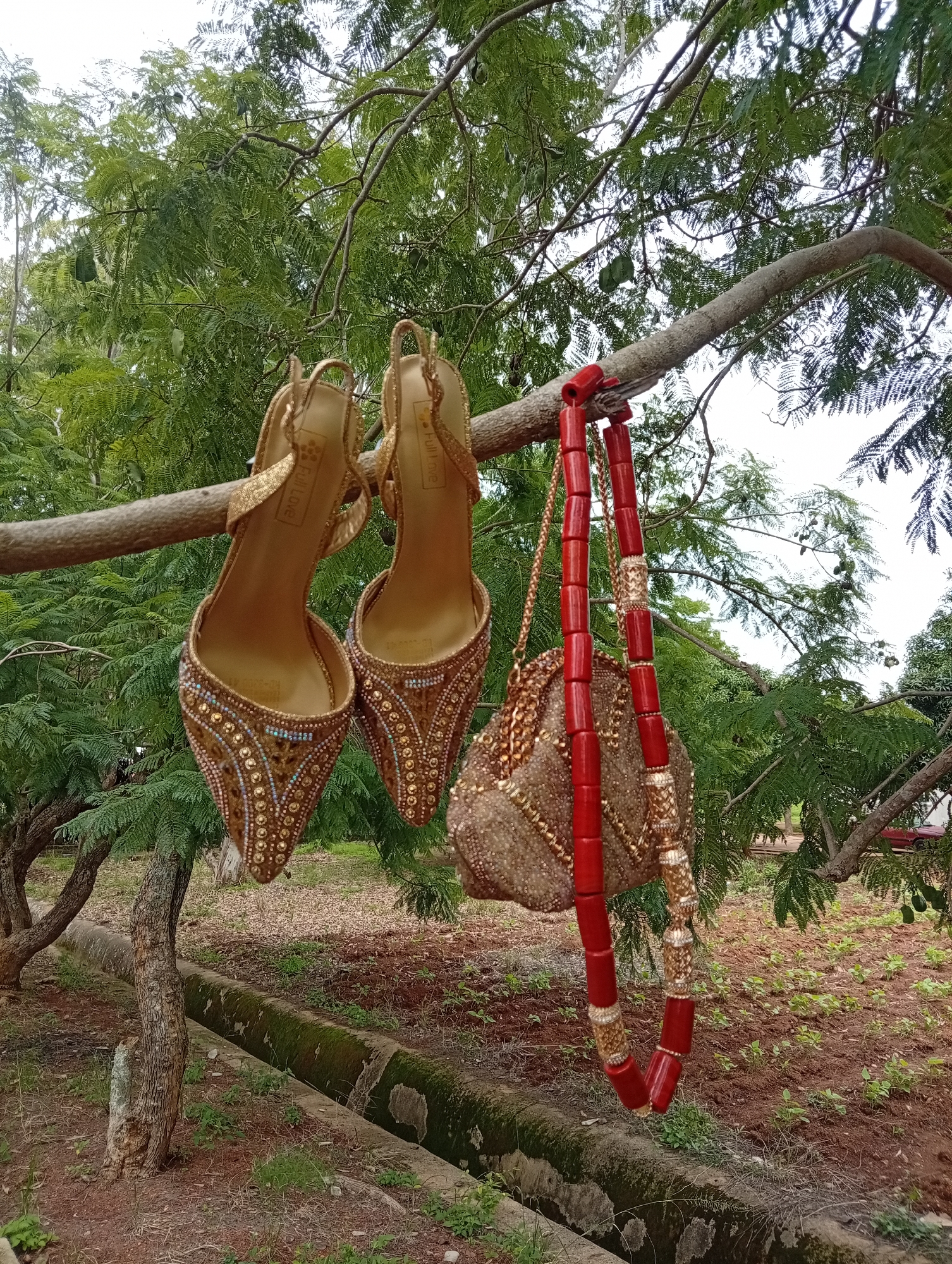 A pair of ornate gold high-heeled shoes, embellished with intricate beadwork and sequins, are hanging from a tree branch. Beside the shoes, a small, sequined gold handbag is also suspended from the branch. A beaded necklace with large, red, cylindrical beads and gold accents is draped over the branch, its ends hanging down, partially obscuring the handbag. The shoes and handbag appear to be part of an outfit, possibly for a special occasion.
The scene is set outdoors, with a lush green canopy of trees in the background, suggesting a natural or garden setting. The tree branch from which the items hang is weathered and textured. Below the branch, a concrete structure, possibly a drainage channel, runs horizontally across the lower part of the image. The ground appears to be covered in dry leaves and reddish soil, with small green plants starting to grow in patches.
The lighting suggests it is daytime, with diffused light filtering through the leaves, creating a soft, overcast atmosphere. There are no people visible in the frame. The overall impression is one of carefully arranged accessories, presented in a natural, rustic environment, perhaps for a photoshoot or as part of a cultural display. The text "Full Love" is visible on the inside of one of the shoes.