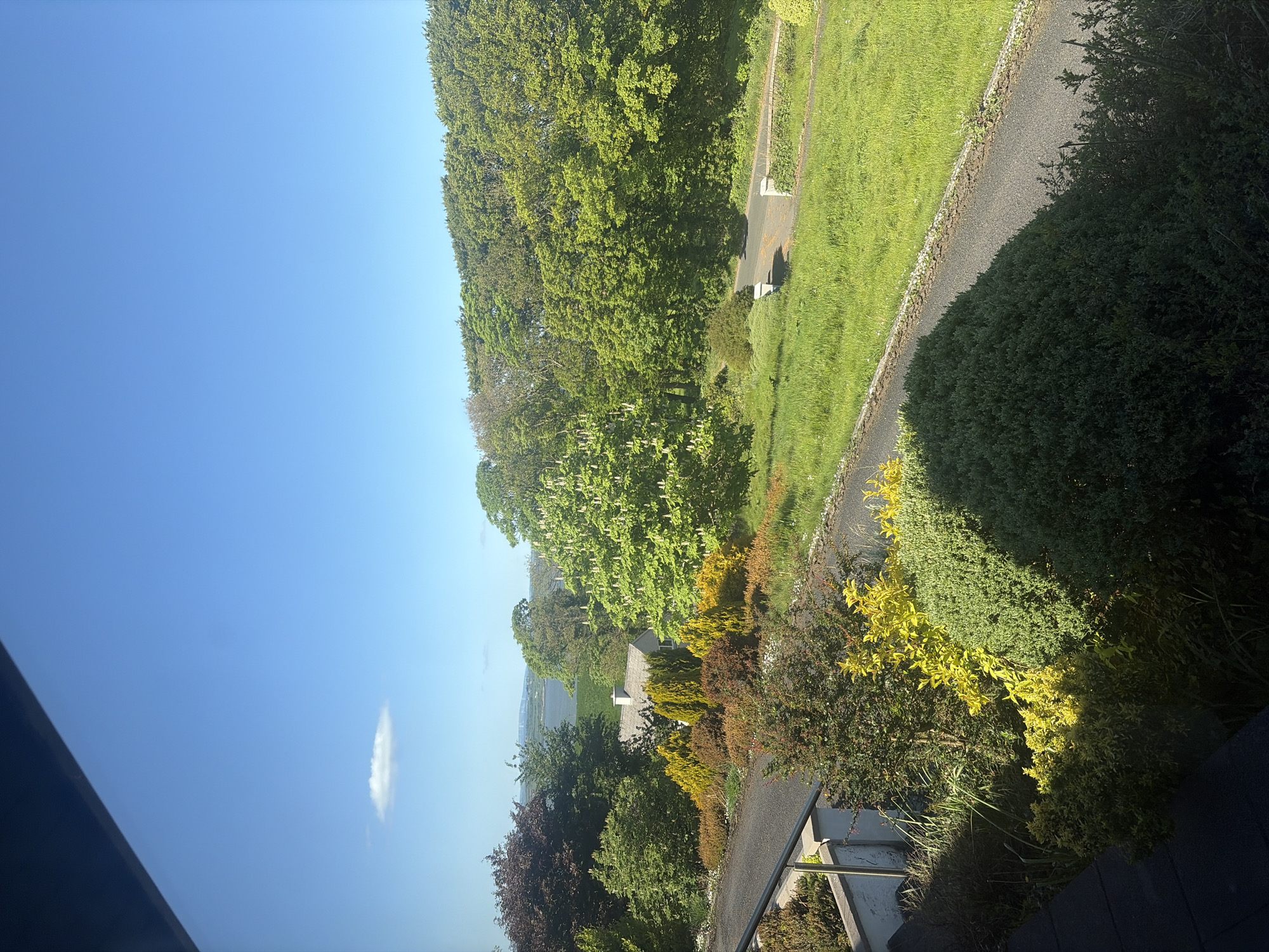 The image captures a bright, sunny day in the Municipal District of Adare — Rathkeale, Ireland. The foreground features a variety of lush greenery including bushes and trees. The landscape transitions to a green lawn alongside a paved path, framed by mature trees. In the distance, glimpses of buildings and the sea can be seen, suggesting a coastal location or proximity to a body of water. The sky is clear blue with a single small cloud. The vantage point is from a slightly elevated position, possibly a balcony or upper story of a building.