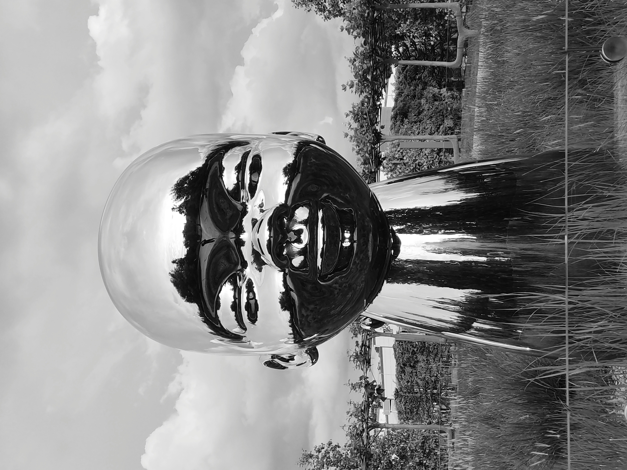 The image is a black and white photograph featuring the "Art Object - Sculpture Woman" in Krasnodar, Russia. The sculpture, a large, polished metal head, dominates the frame. Its reflective surface distorts the surroundings, including the cloudy sky and surrounding foliage. The sculpture is situated in a park or garden setting, indicated by the presence of tall grass and trees in the background. A metal fence or support structure is also visible in the vicinity of the sculpture. The angle of the shot gives the impression that the sculpture is tilted. No people are visible.