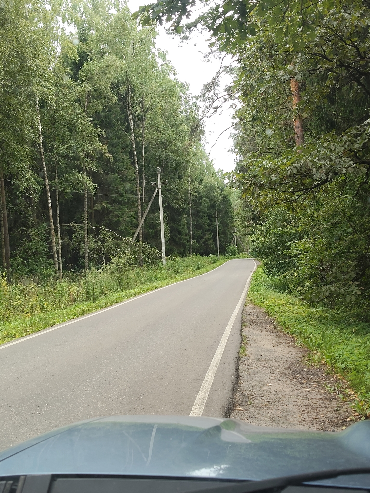 An eye-level, forward-facing, point-of-view shot depicts a paved road curving gently to the left, bordered by dense green trees and foliage on both sides. The road surface is asphalt with a white dashed line marking the center. On the left, the trees are predominantly tall and slender with lighter bark, possibly birches, interspersed with darker conifers. On the right, the foliage is a mix of deciduous trees with broader leaves, creating a thick, green wall. The ground beside the road is covered in grass and some patches of dirt and gravel. In the foreground, the hood and windshield of a vehicle are visible, suggesting the photo was taken from a car. There are no people visible in the scene. The sky is overcast. The location is identified as Chekhovskiye Ugodya KP, Russia.