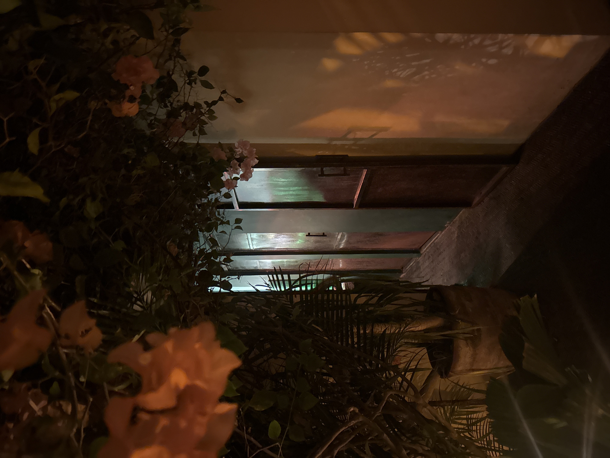 Captured at night in Kuta Selatan, Indonesia, the image presents a perspective looking upwards toward a building overhang or balcony. Dense flora, including flowering bougainvillea in shades of orange and peach along with assorted tropical foliage, dominate the foreground. These plants obscure a portion of the architectural structure. Above, a series of horizontal planes are visible, suggestive of stacked balconies or structural support elements. Light reflecting off the walls creates patterns overhead, while glimpses of brighter ambient light are visible through gaps in the structure. The overall scene is dimly lit.